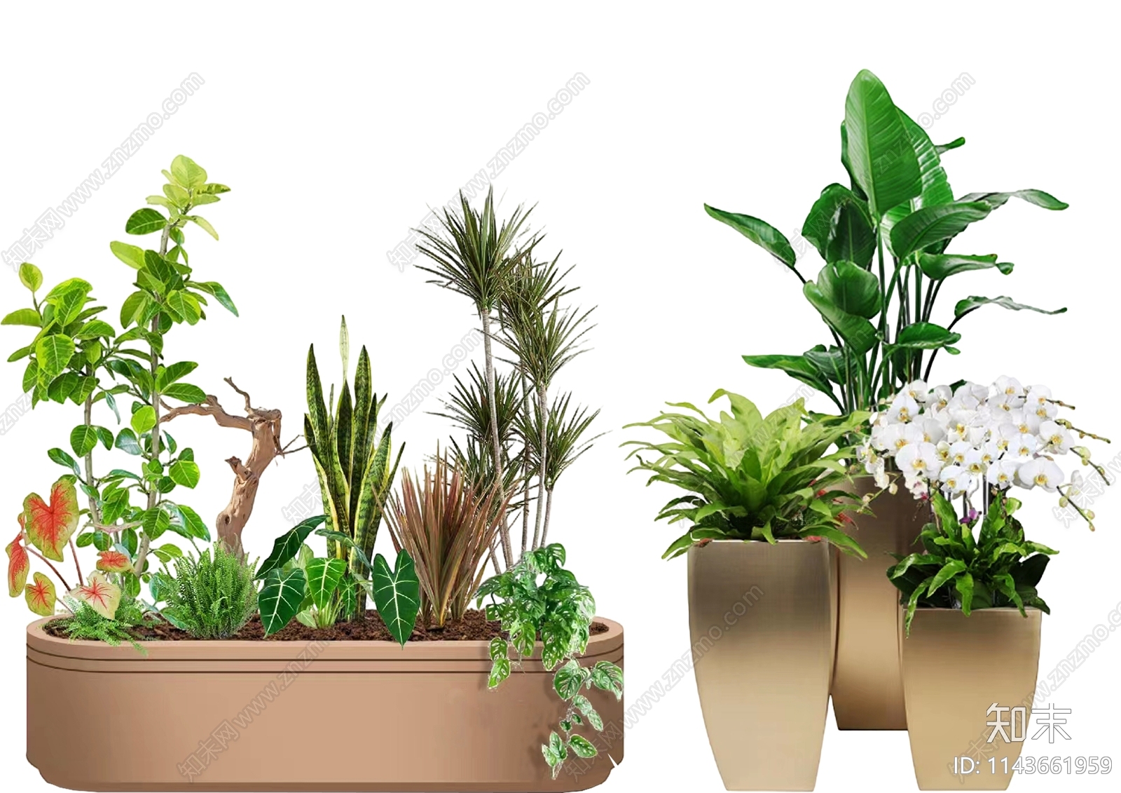 PSD植物组合免抠高清贴图贴图下载【ID:1143661959】_【知末网贴图库】