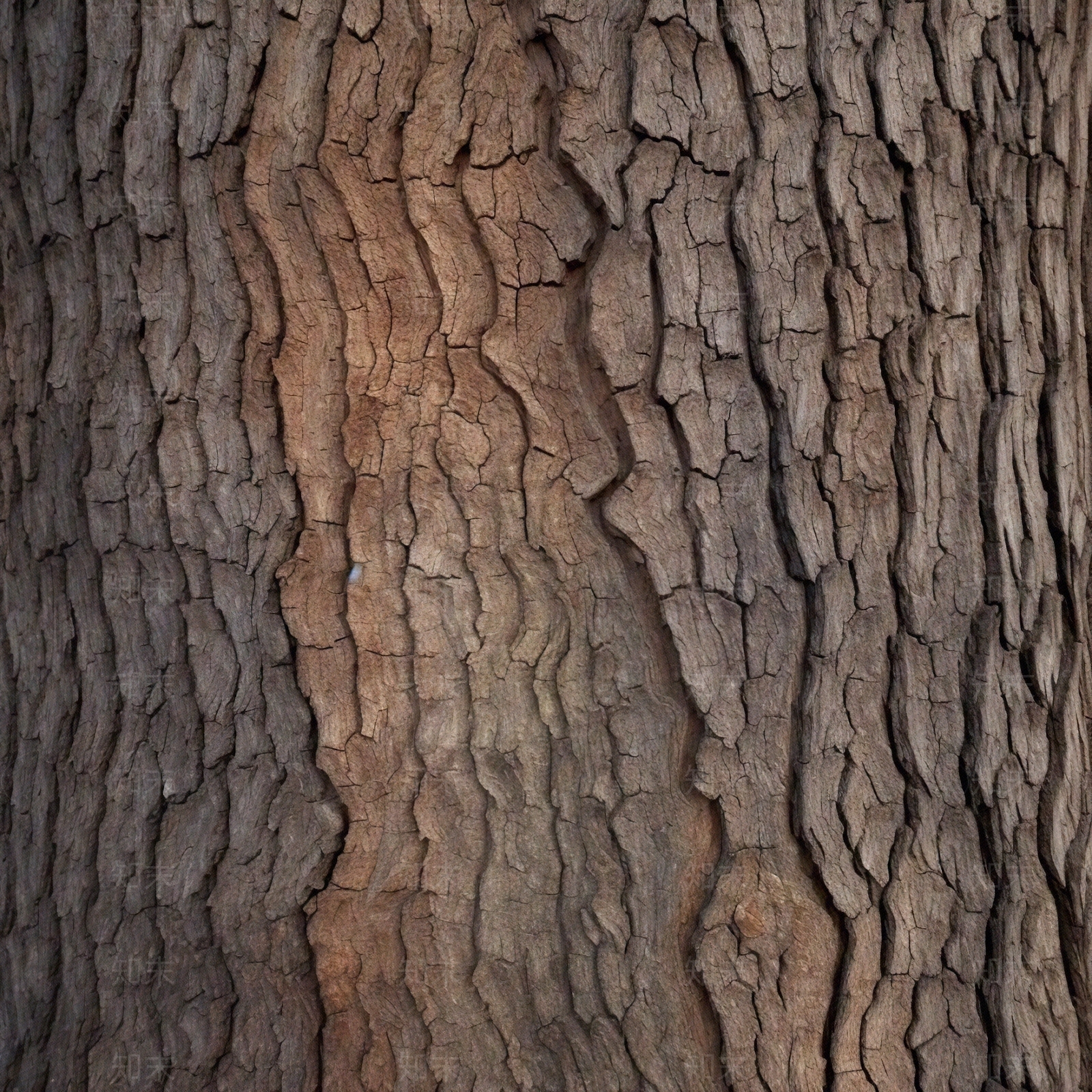 树皮纹路高清贴图贴图下载【ID:1143669739】
