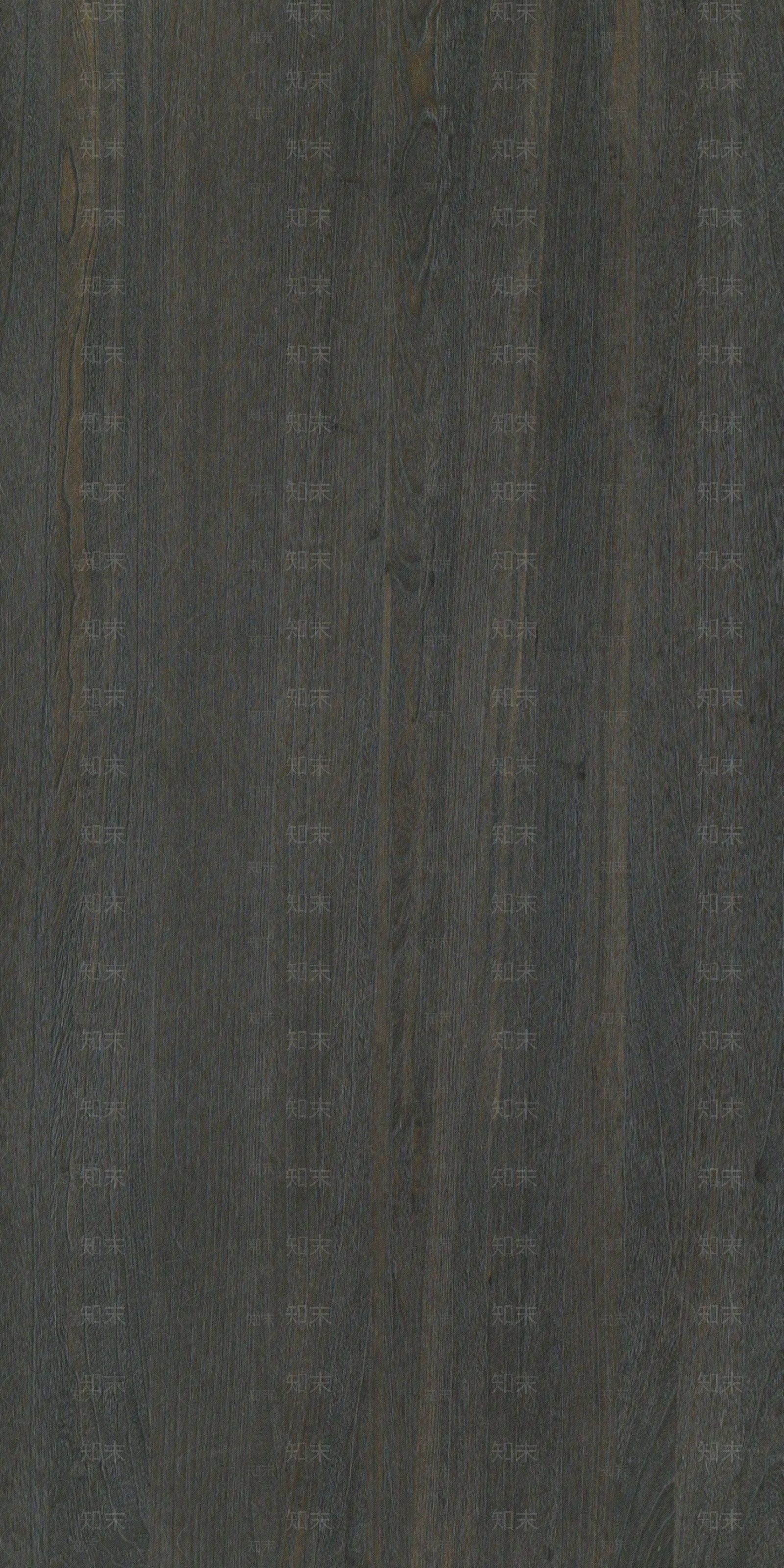 K6169FS梧桐木钢刷实木拼木纹贴图下载【ID:1143748009】