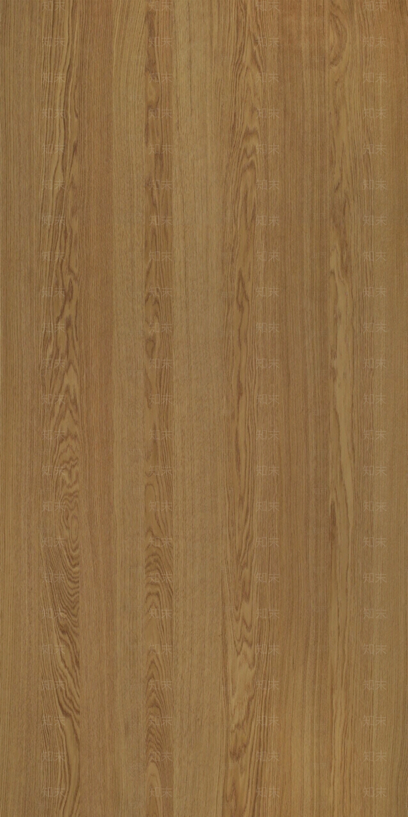 欧洲白橡木钢刷实木木纹贴图下载【ID:1143748205】