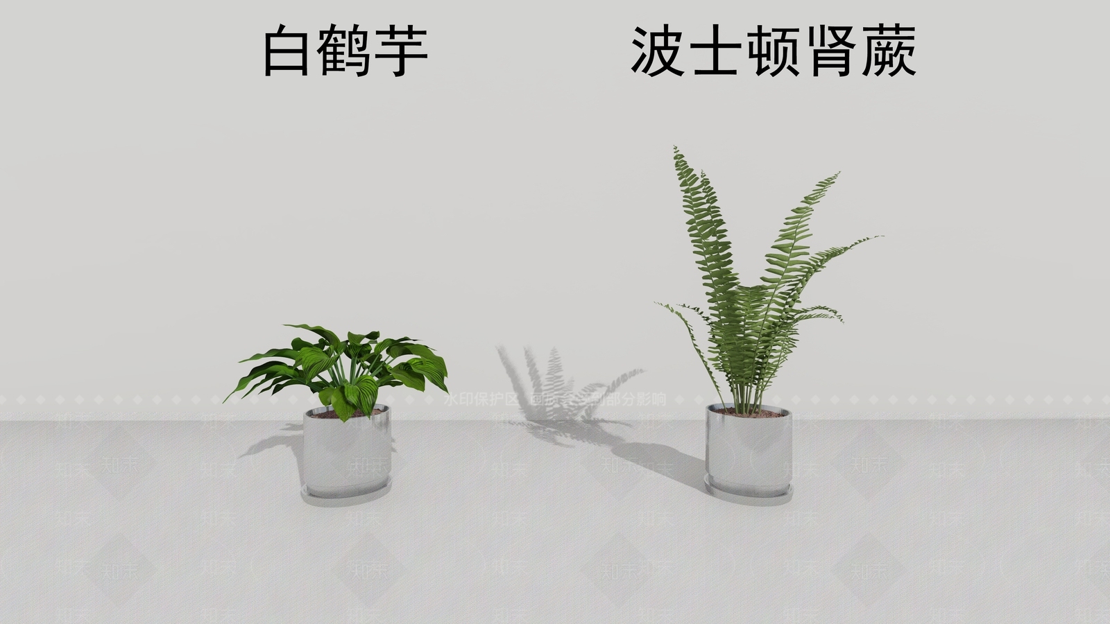 盆栽SU模型下载【ID:1143748999】