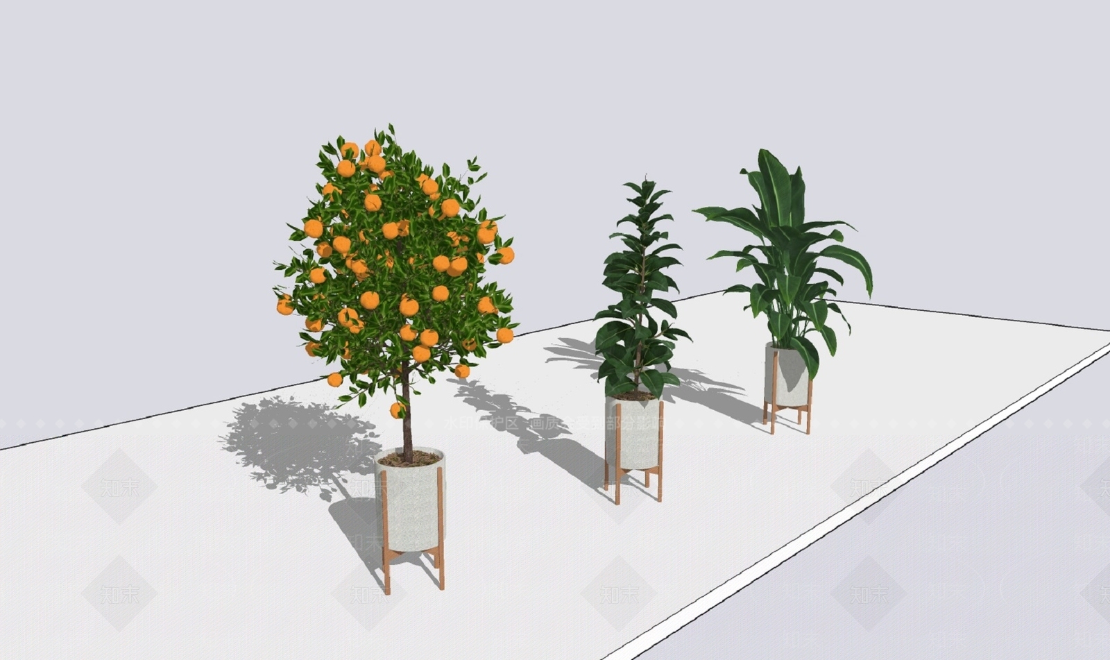 金桔树盆景SU模型下载【ID:1143749079】