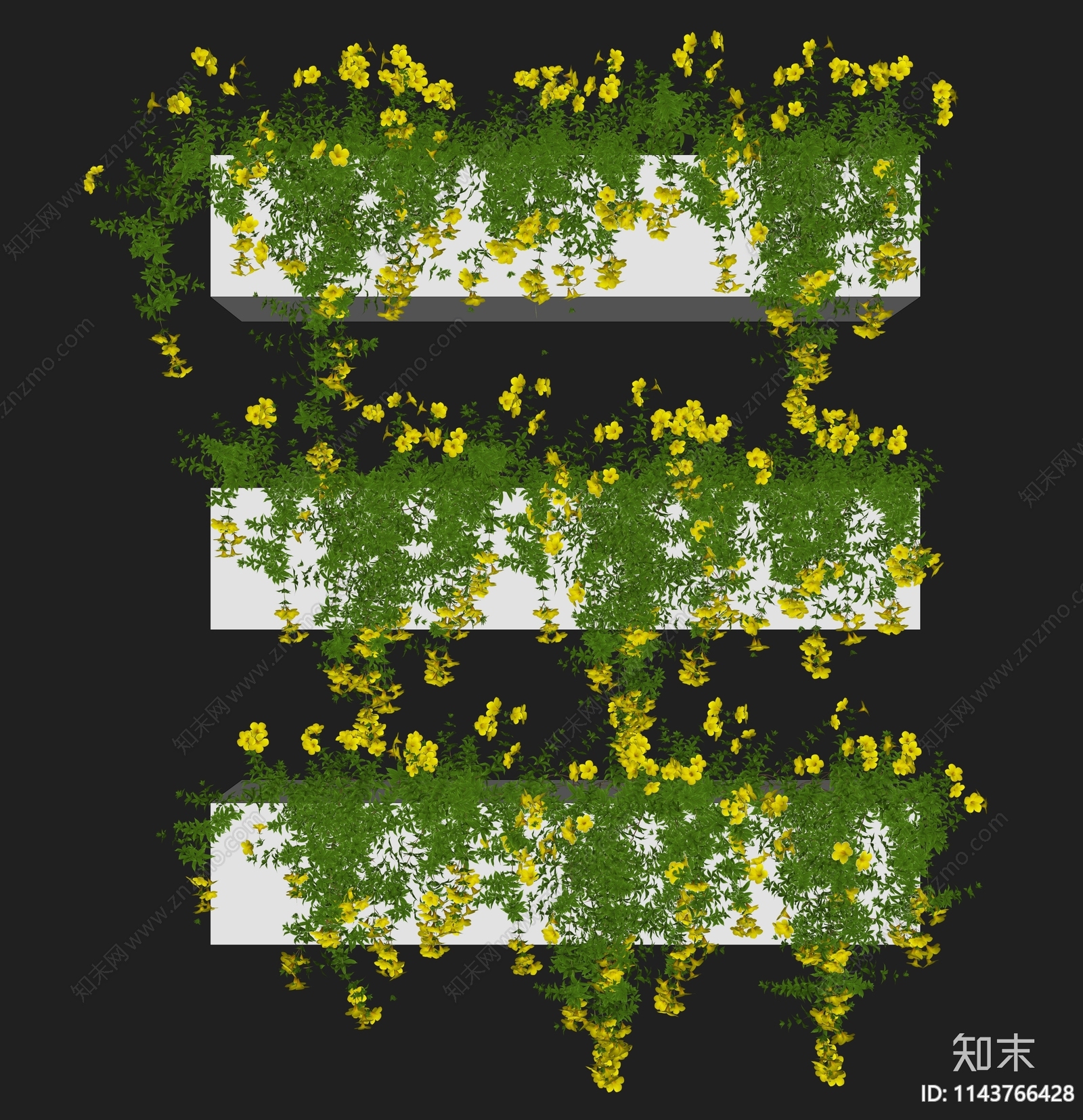 黄蝉属夹竹桃科藤蔓植物堆SU模型下载【ID:1143766428】