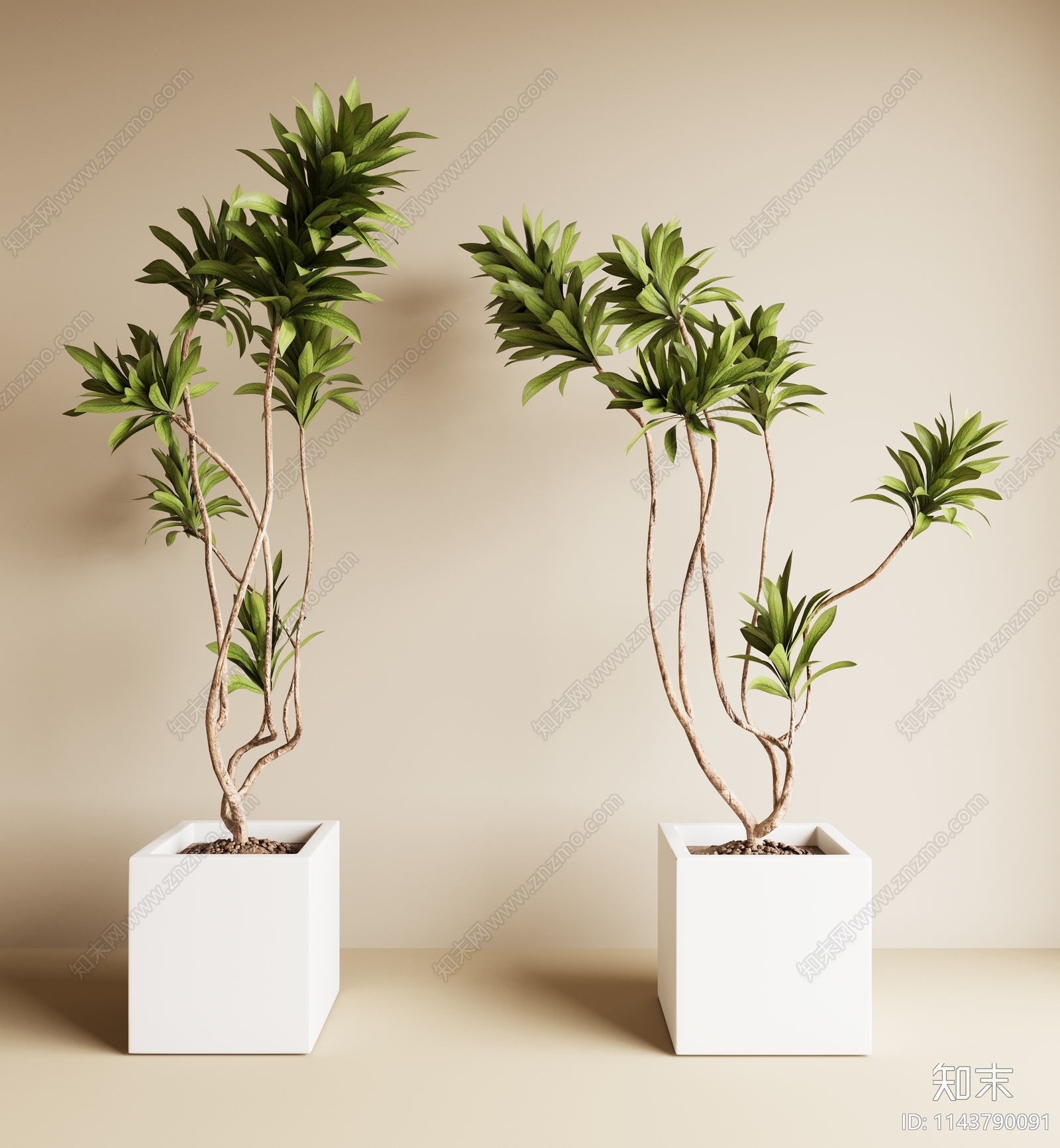 现代绿植盆栽3D模型下载【ID:1143790091】