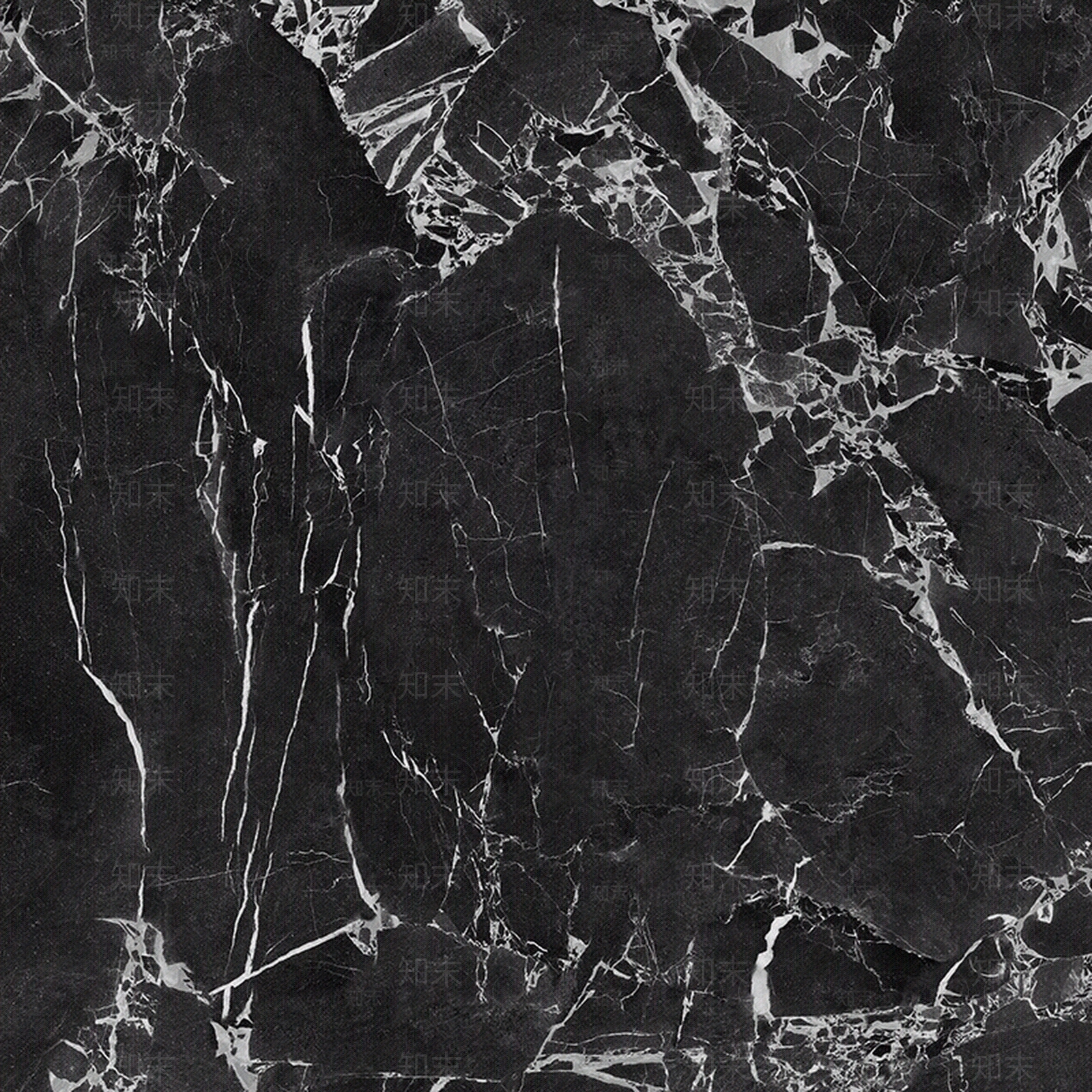 OCEANO欧神诺宝格丽黑贴图下载【ID:1143837564】