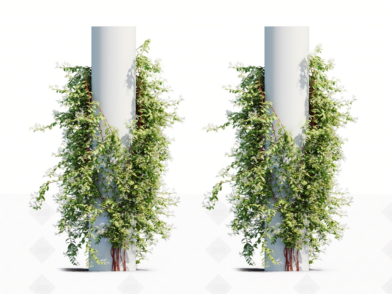 圆形柱子藤蔓植物爬藤金银花SU模型下载【ID:1143861945】