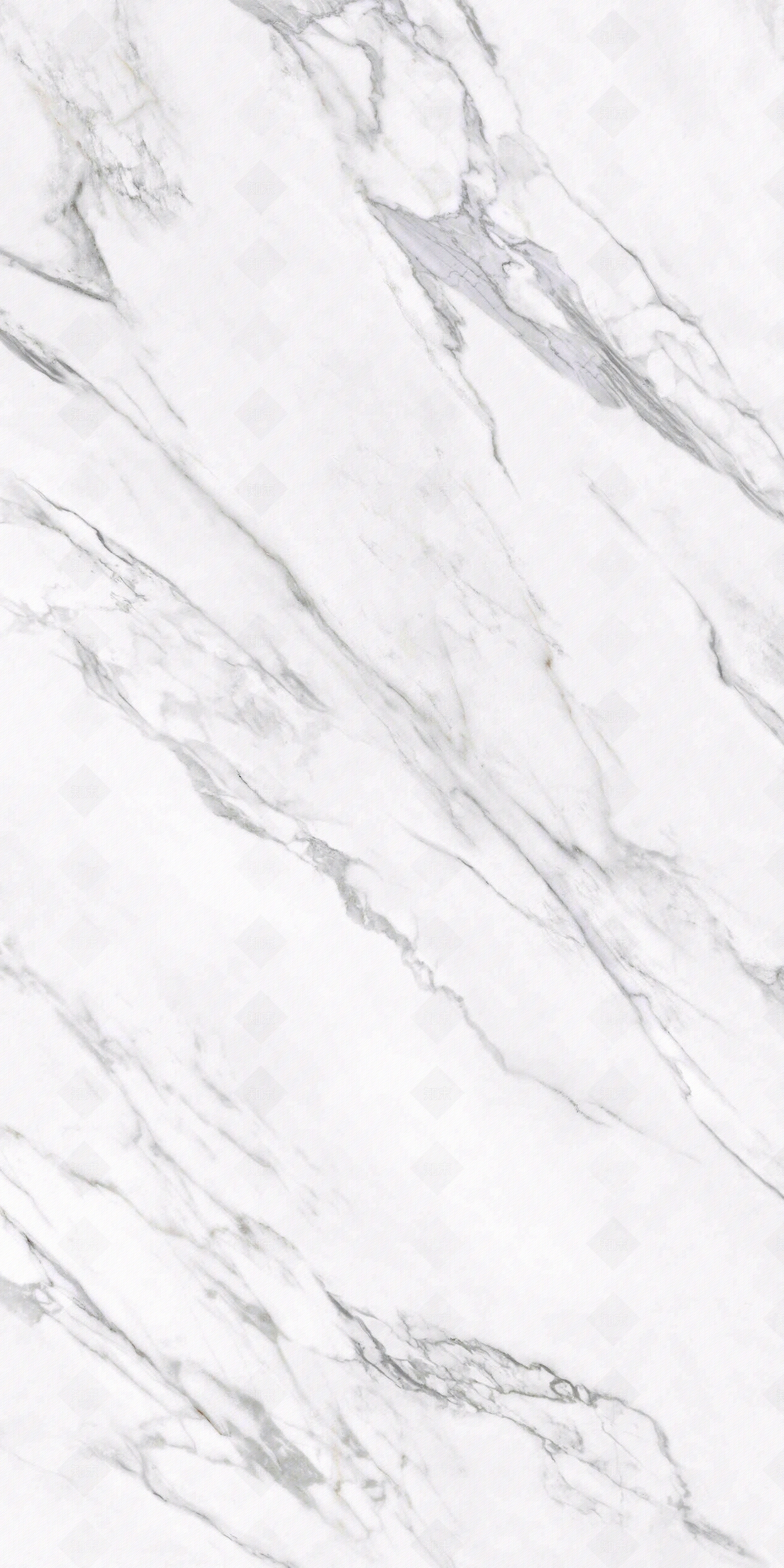 顶级雪花白大理石瓷砖贴图下载【ID:1143936962】