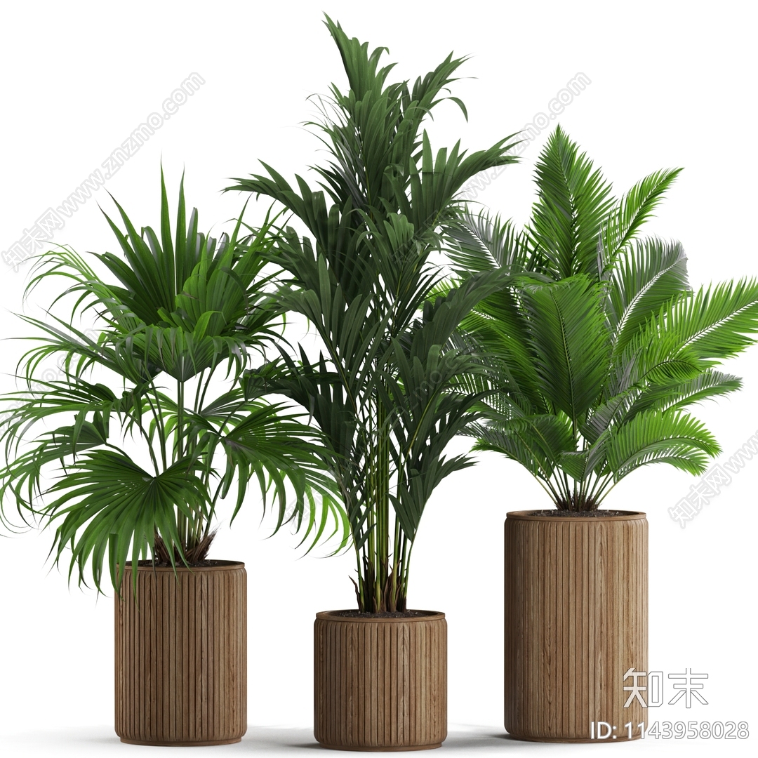 植物盆栽组合3D模型下载【ID:1143958028】