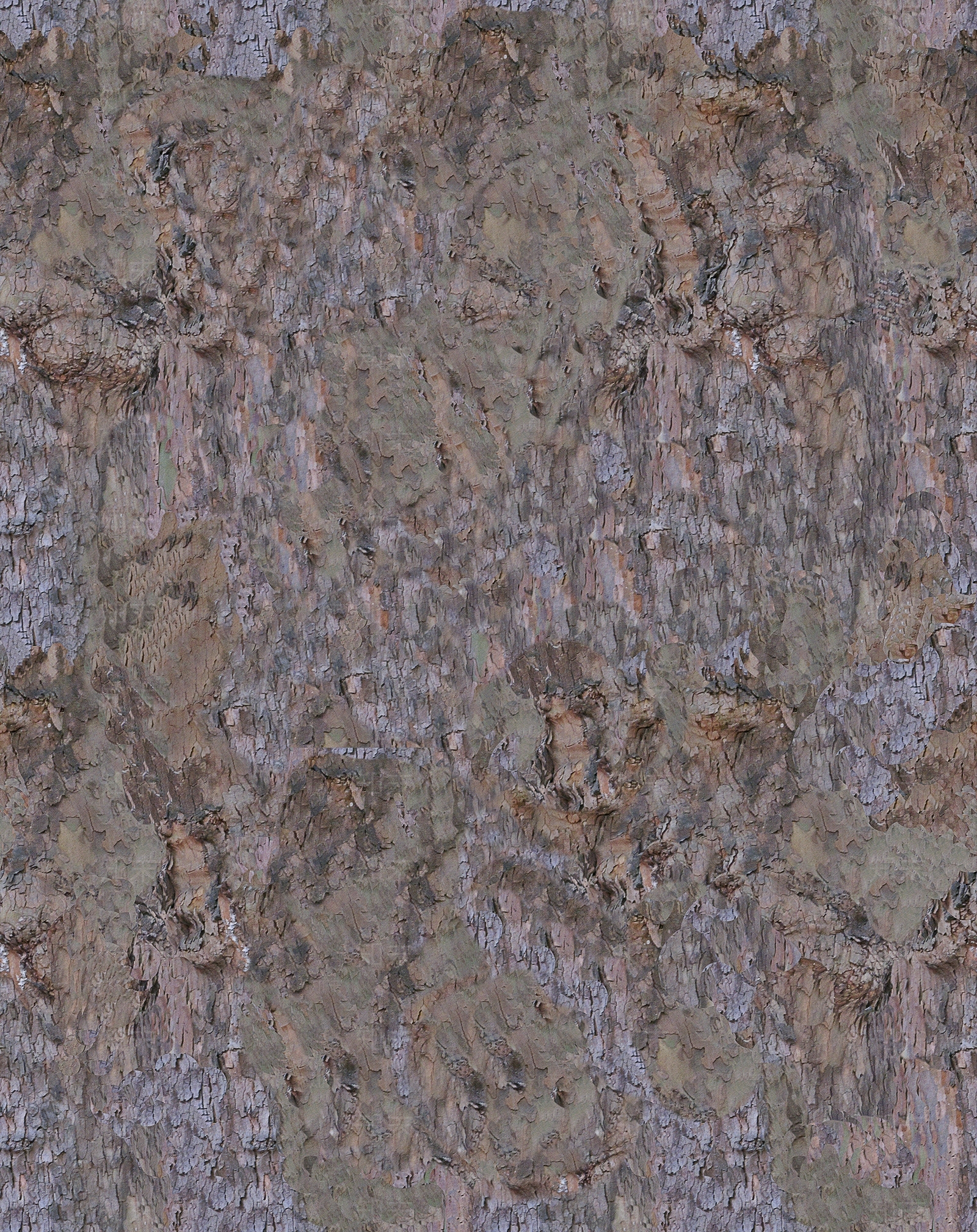 无缝树皮高清贴图贴图下载【ID:1143970533】