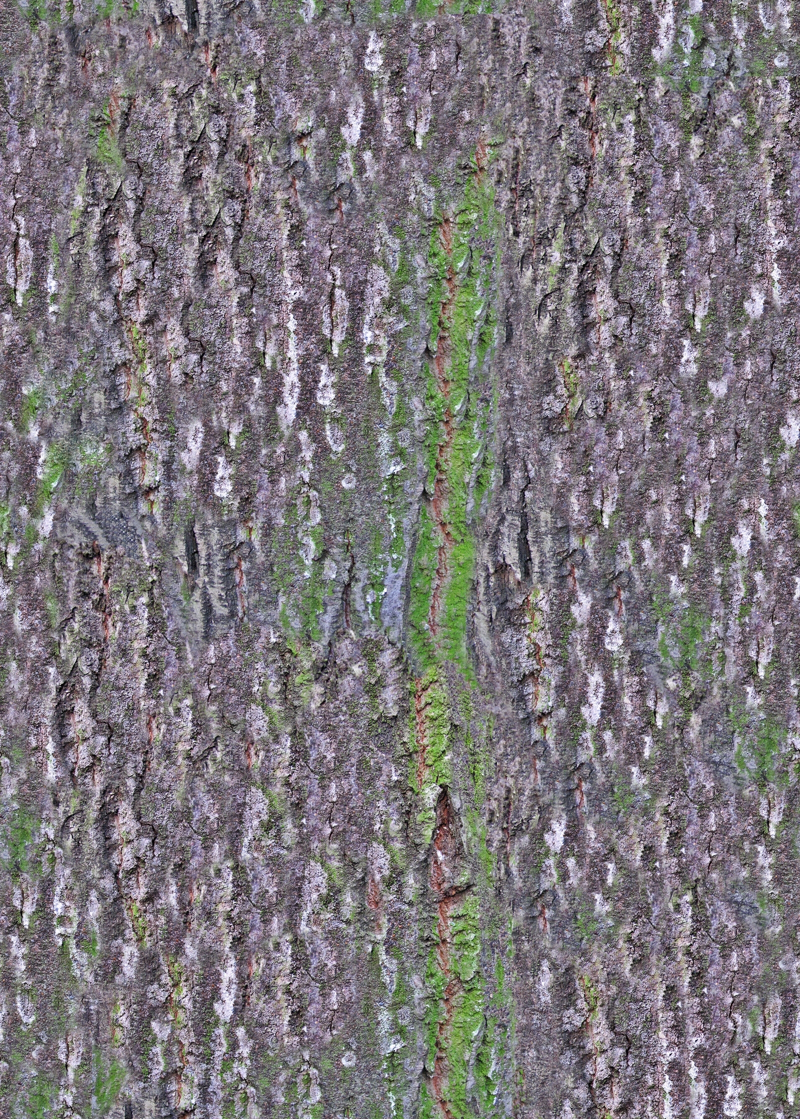 无缝树皮高清贴图贴图下载【ID:1143970781】