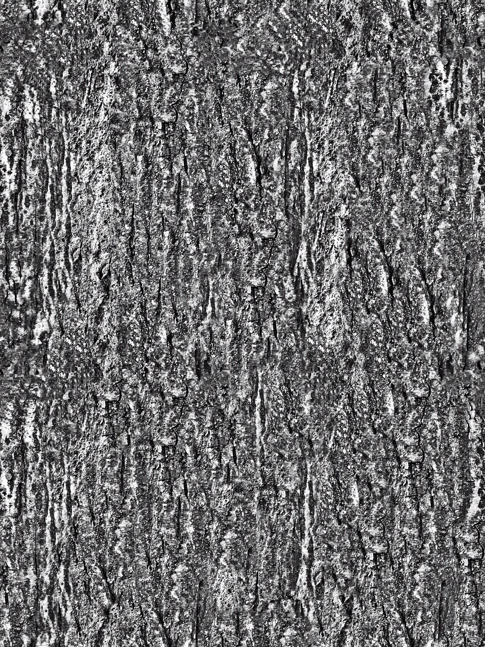 无缝树皮高清贴图贴图下载【ID:1143970859】