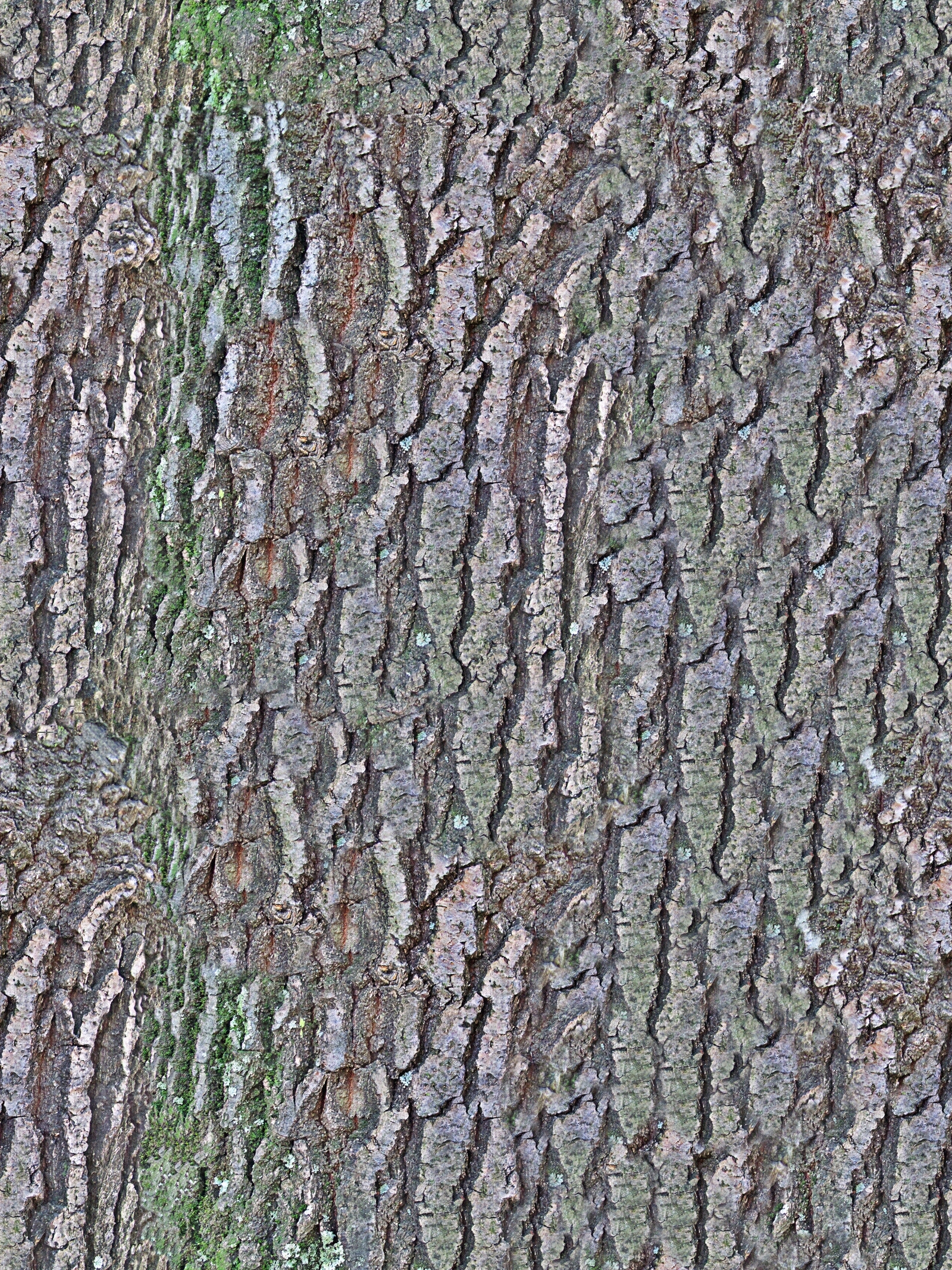 无缝树皮高清贴图贴图下载【ID:1143971071】