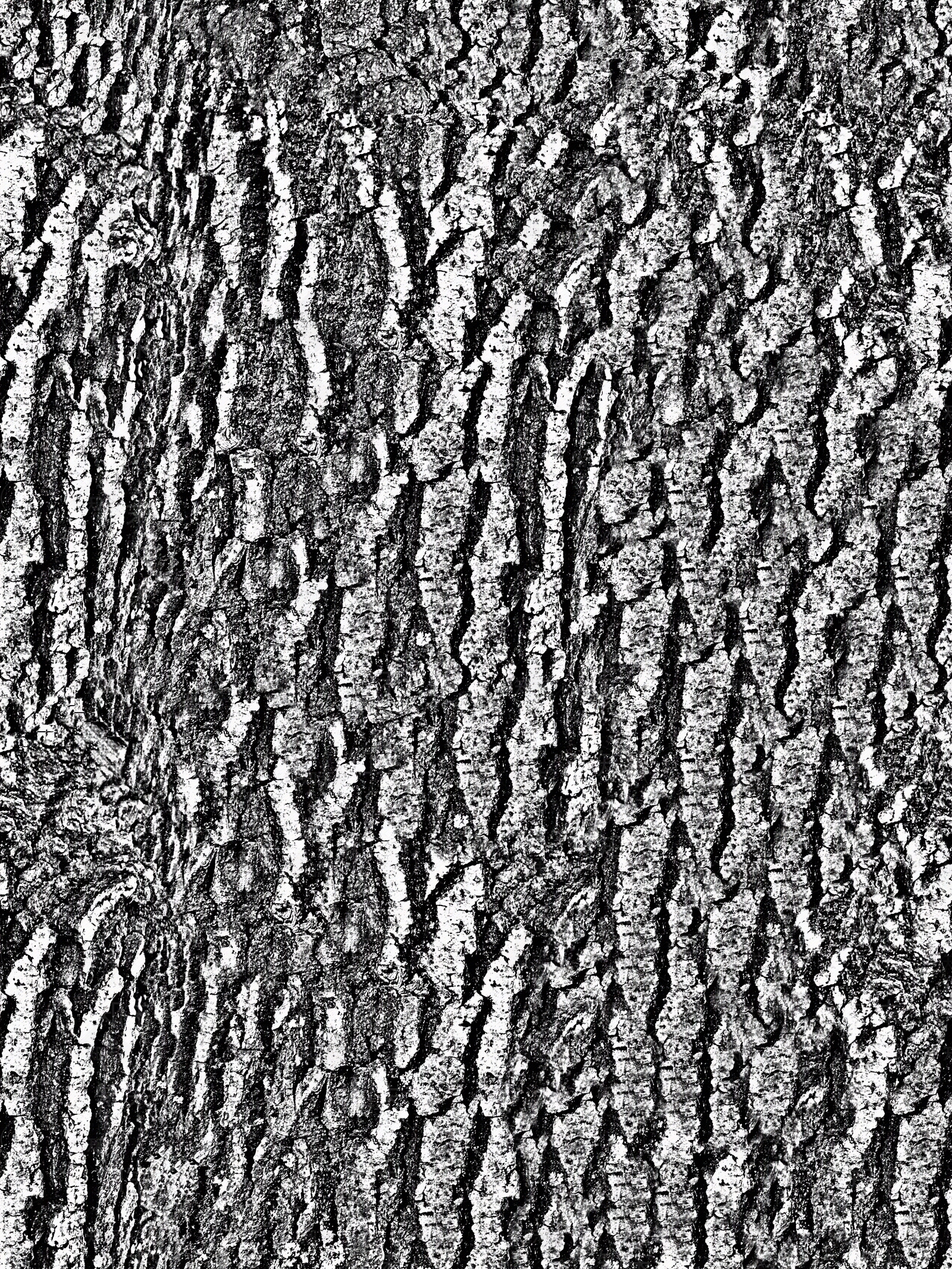 无缝树皮高清贴图贴图下载【ID:1143971058】