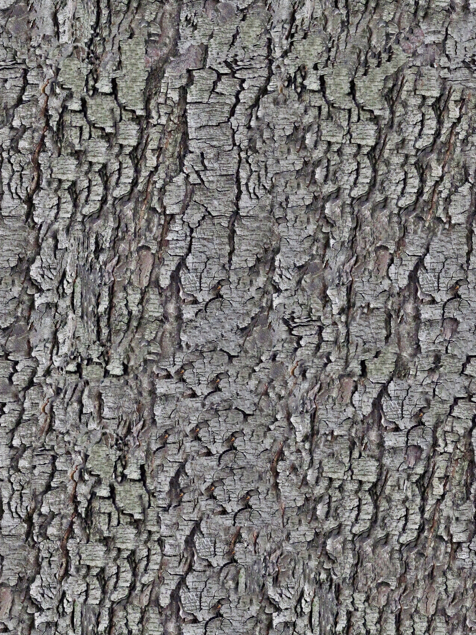 无缝树皮高清贴图贴图下载【ID:1143971163】