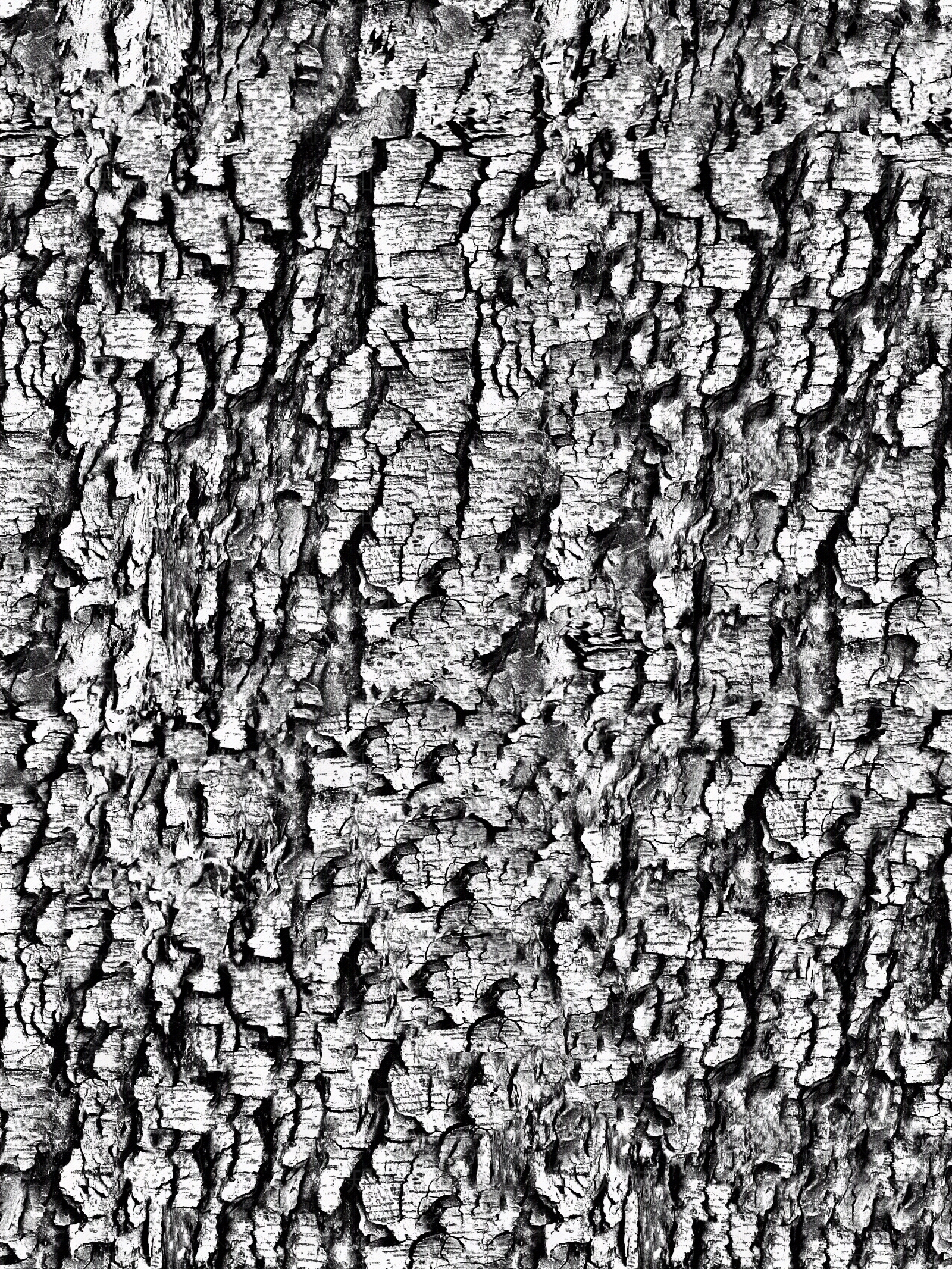 无缝树皮高清贴图贴图下载【ID:1143971283】