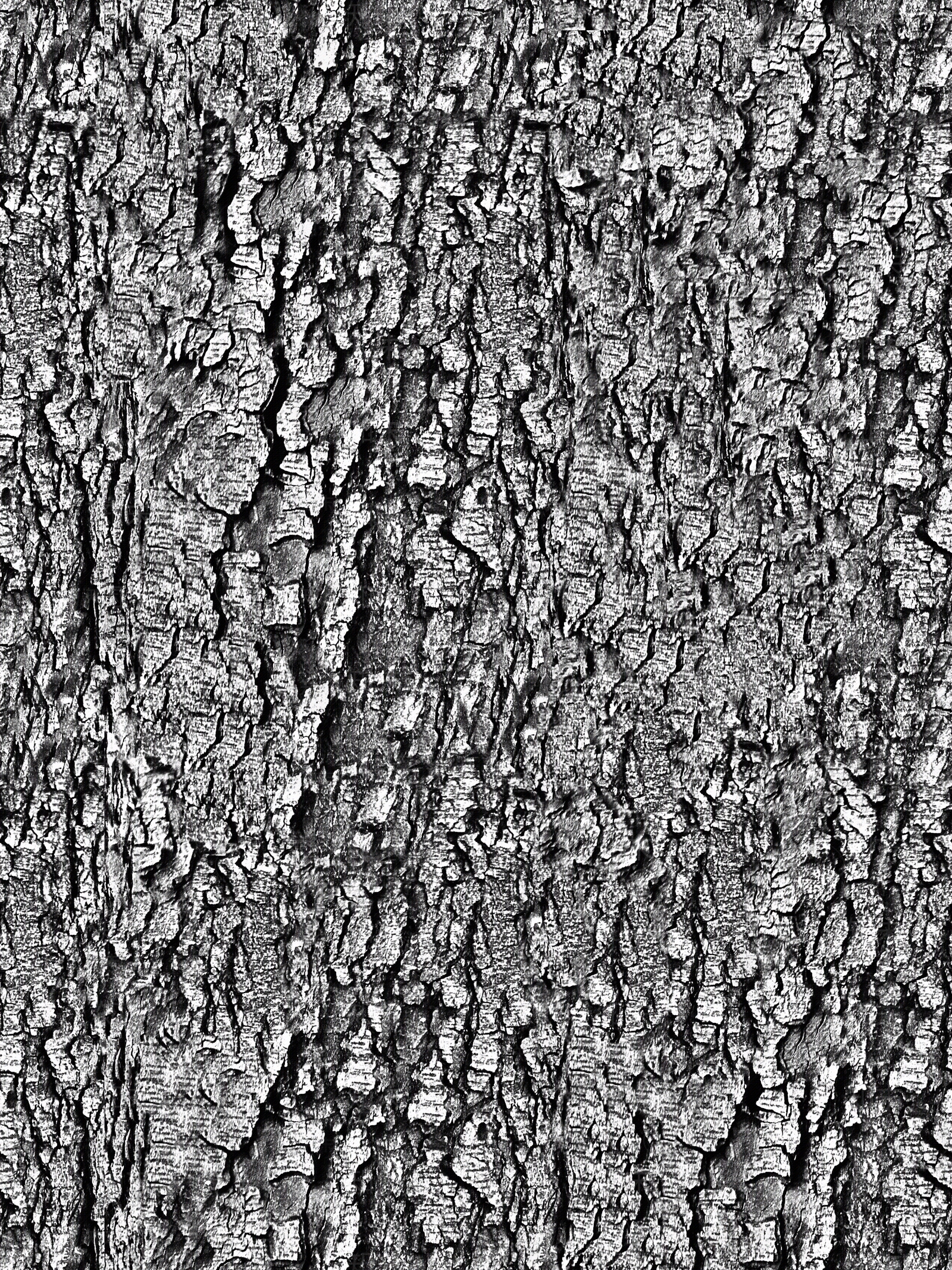 无缝树皮高清贴图贴图下载【ID:1143971365】