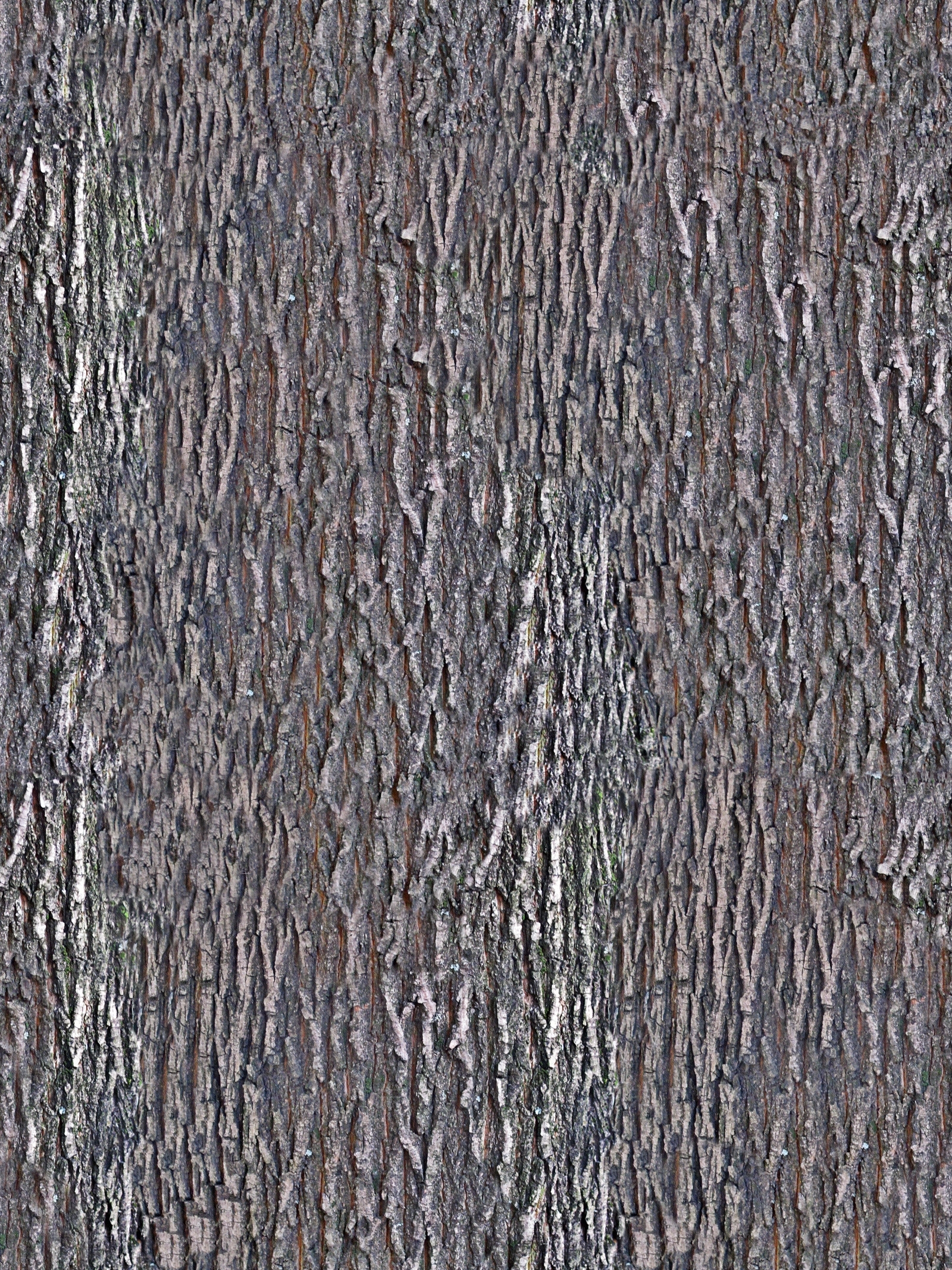 无缝树皮高清贴图贴图下载【ID:1143971398】