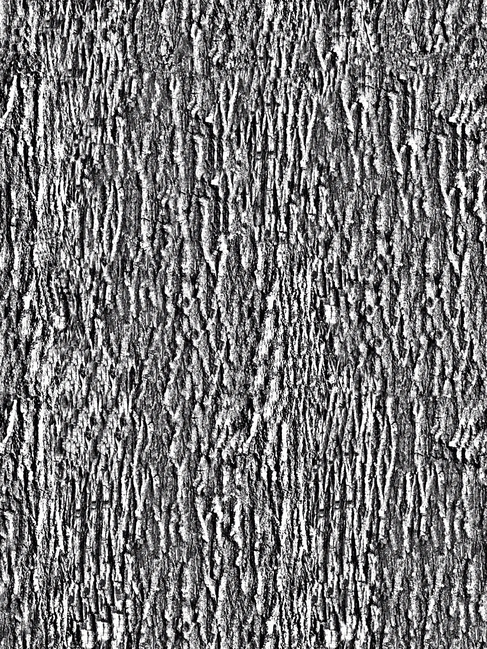 无缝树皮高清贴图贴图下载【ID:1143971421】