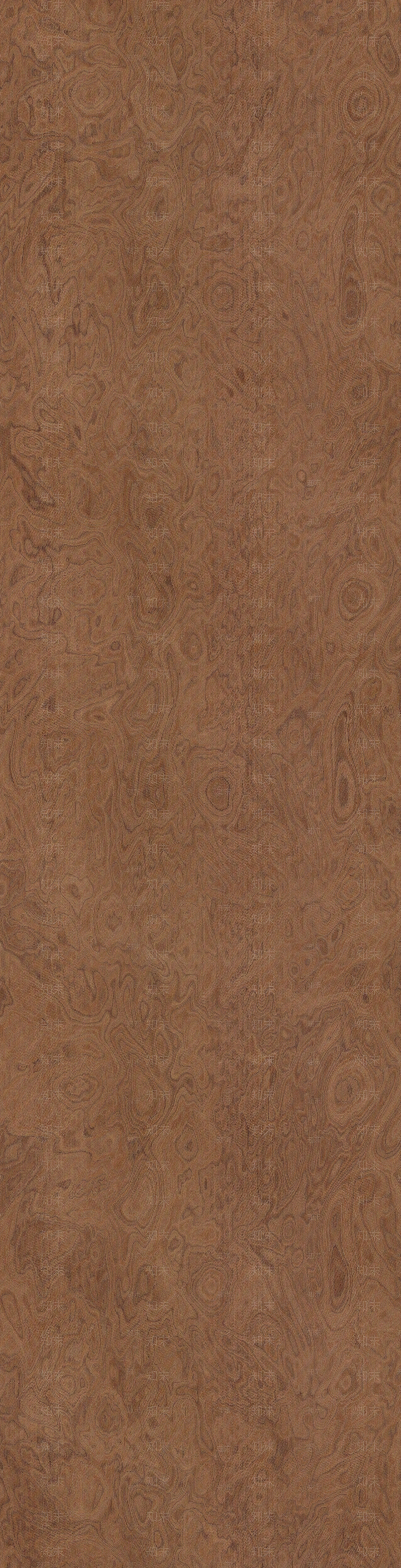 桦木高清无缝木纹贴图下载【ID:1143993204】