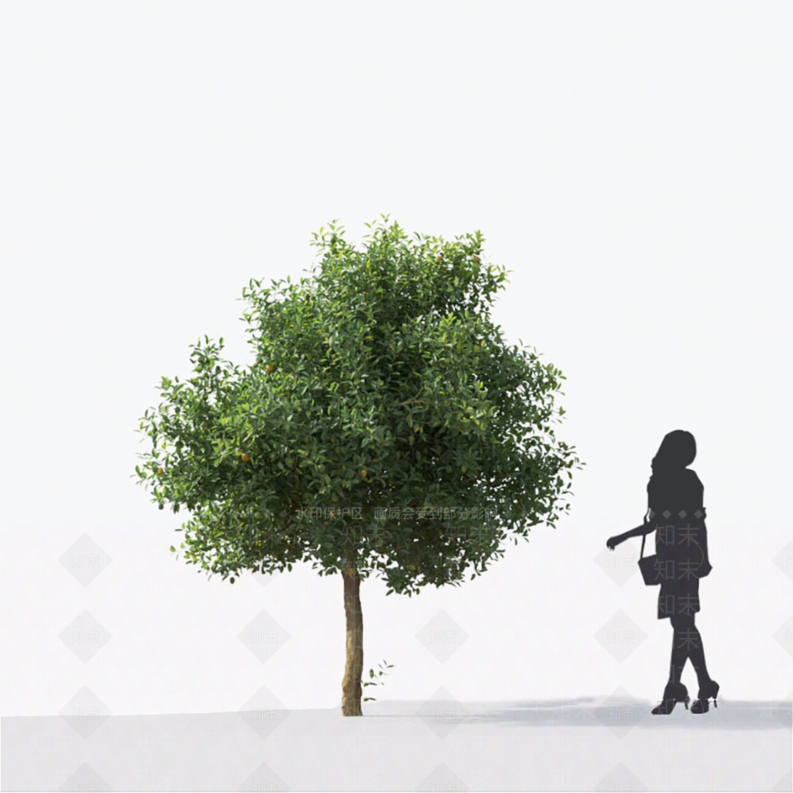 柠檬树3D模型下载【ID:1144015290】