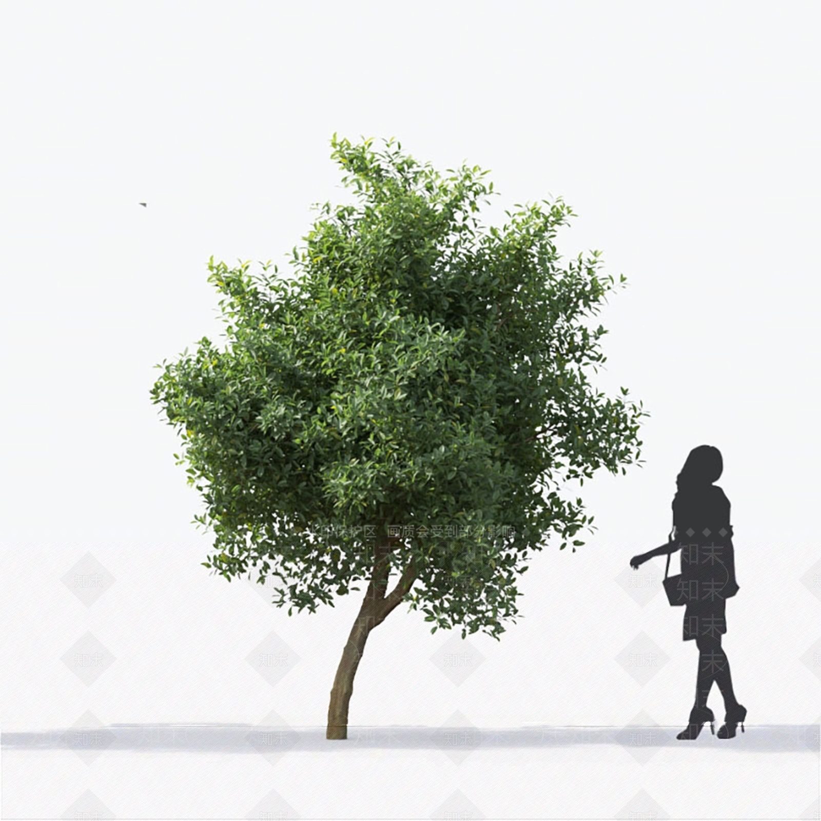 柠檬树3D模型下载【ID:1144015302】