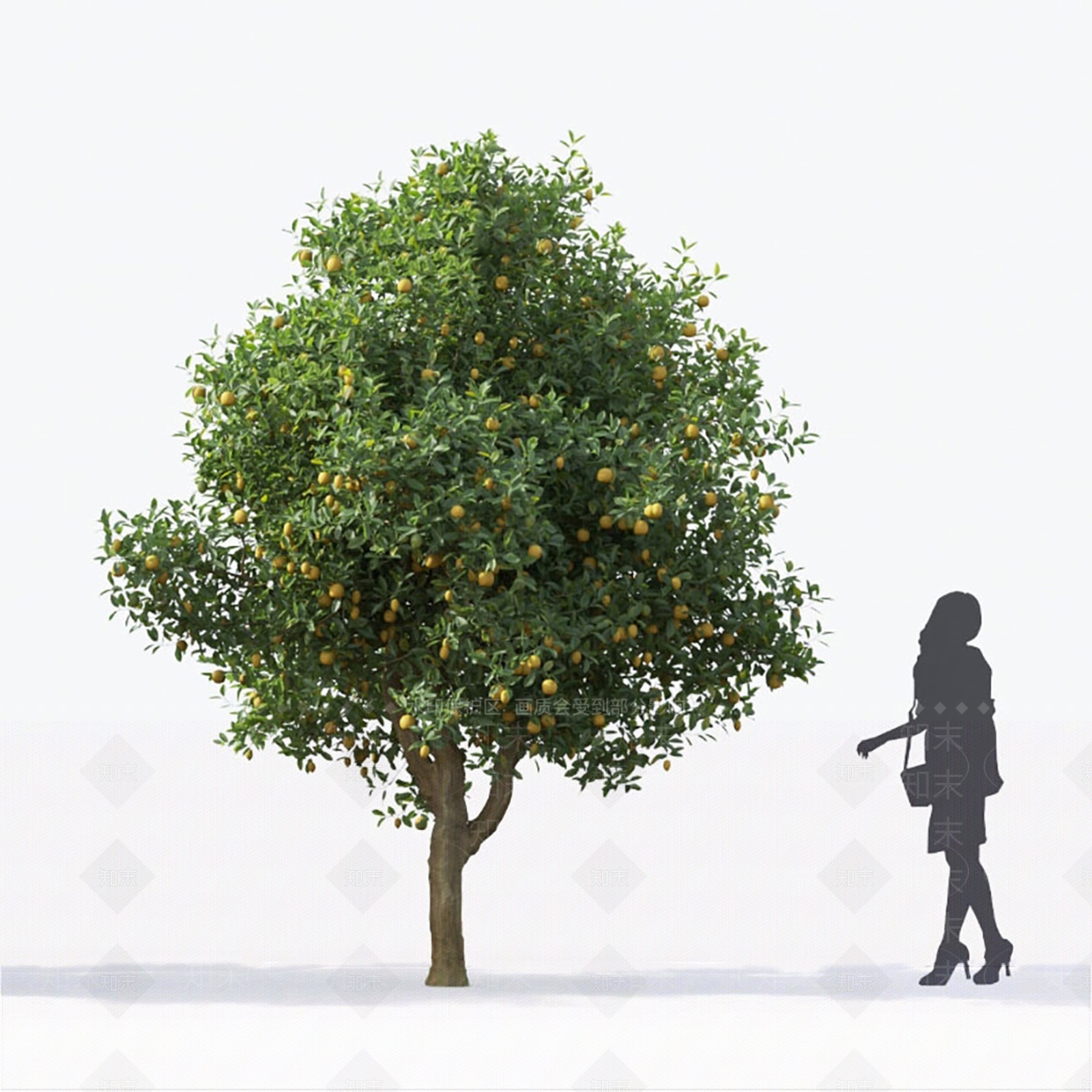 柠檬树3D模型下载【ID:1144015988】