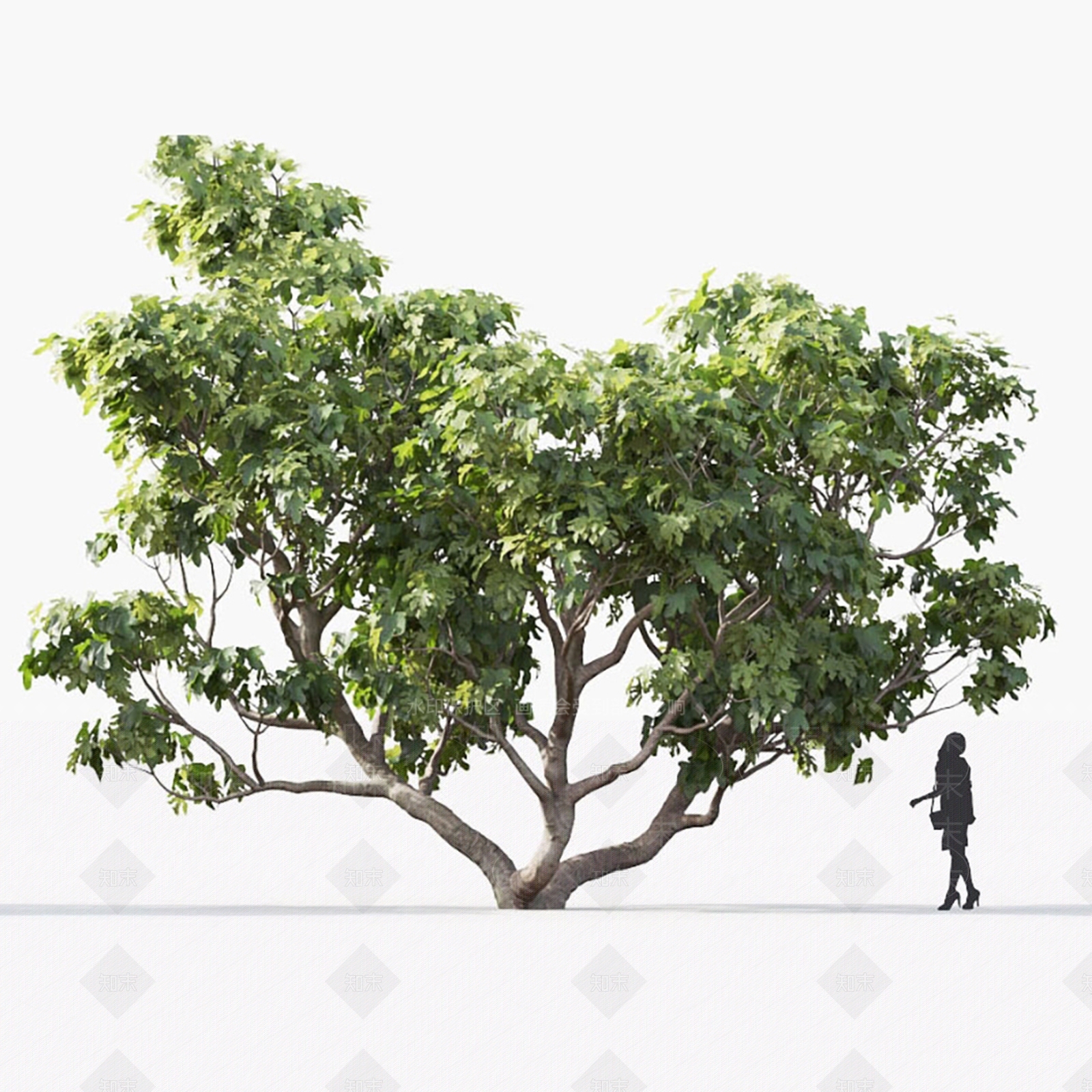 灌木3D模型渲染效果图