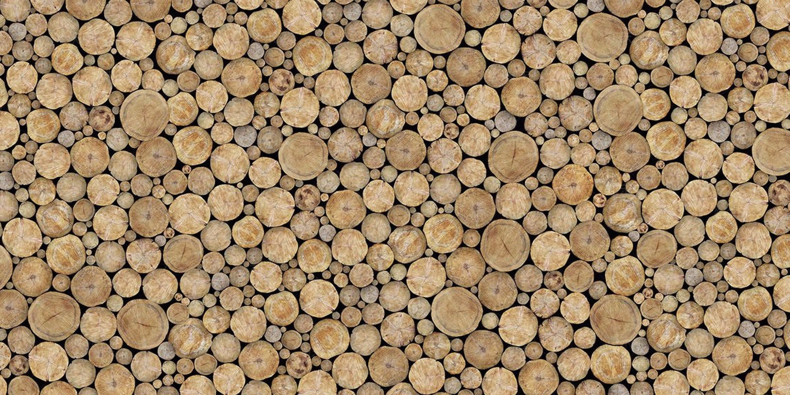 木材横截面贴图下载【ID:1144033352】