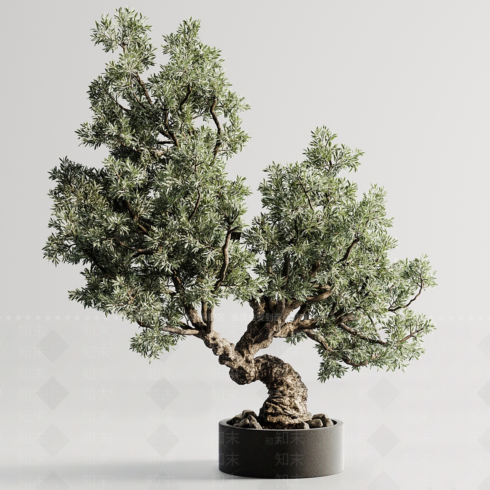 新中式植物盆景3D模型下载【ID:1144089909】