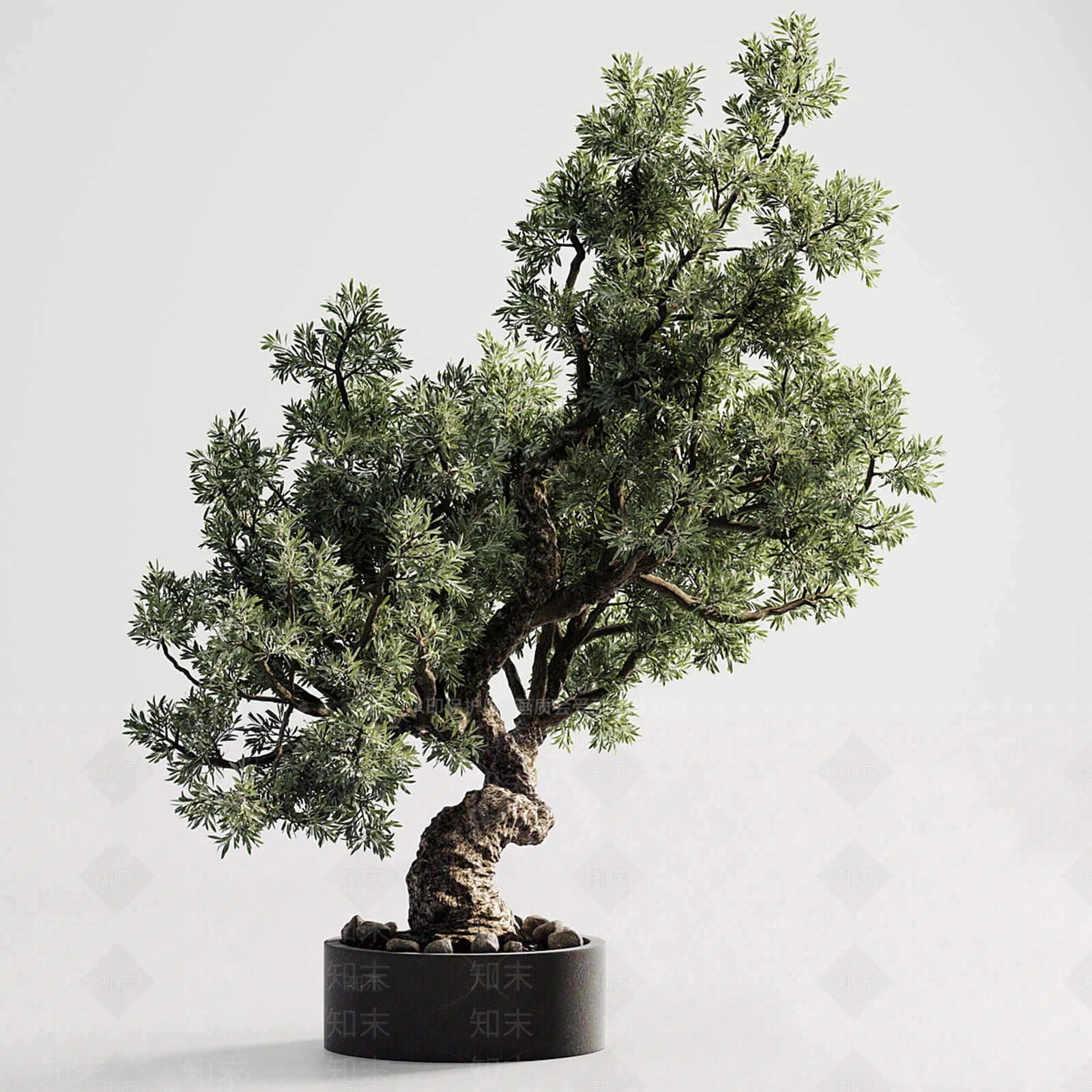 新中式植物盆景3D模型下载【ID:1144089909】