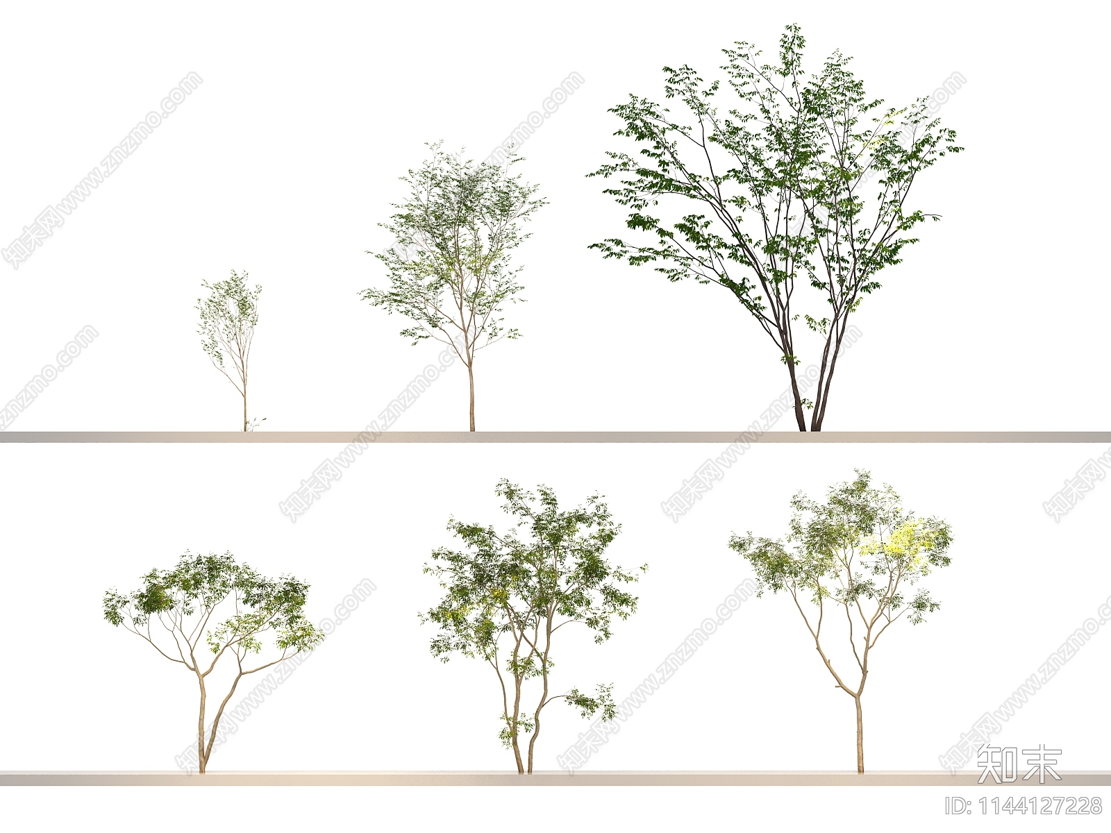 灌木3D模型下载【ID:1144127228】