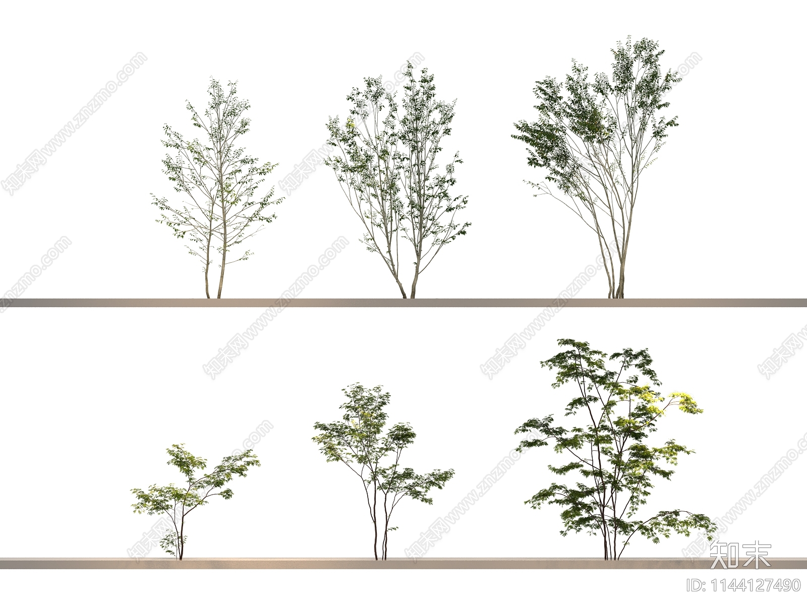 灌木3D模型下载【ID:1144127490】