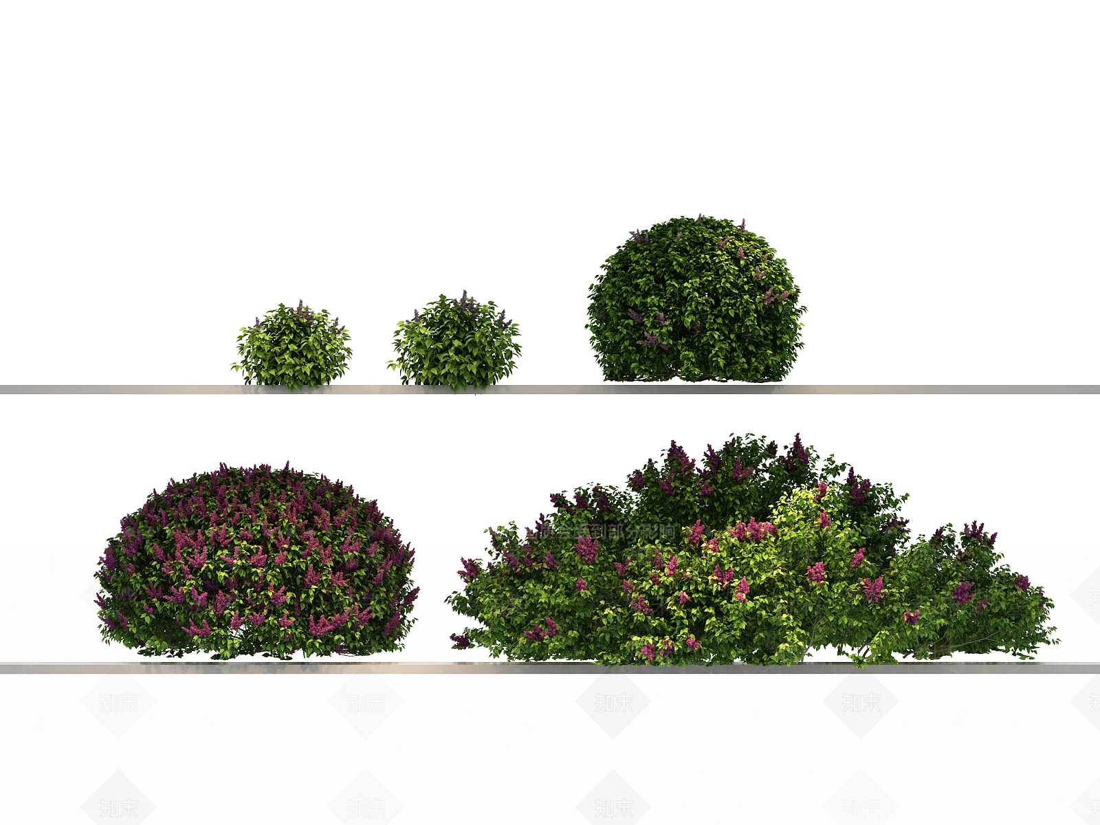 其他绿植3D模型下载【ID:1144138389】