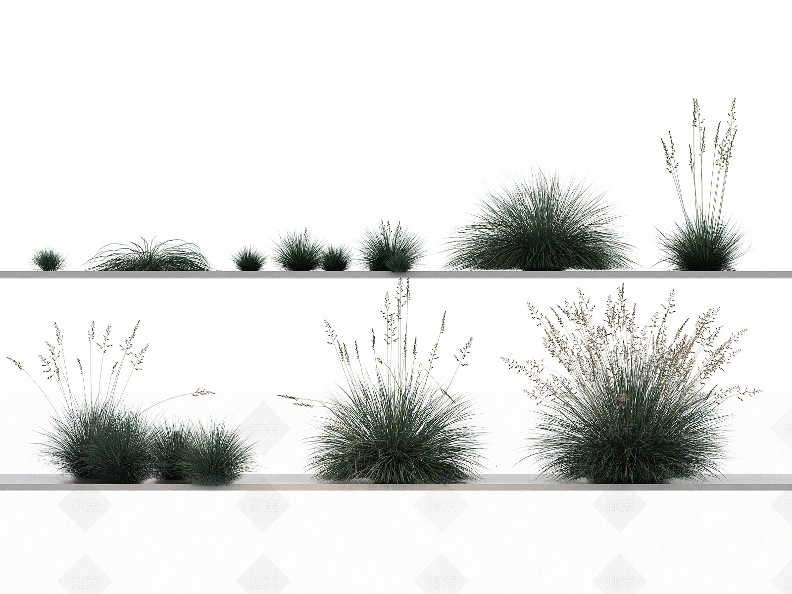 花草组合3D模型下载【ID:1144141277】