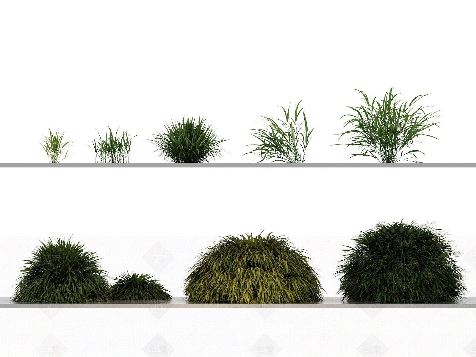 花草组合3D模型下载【ID:1144141314】