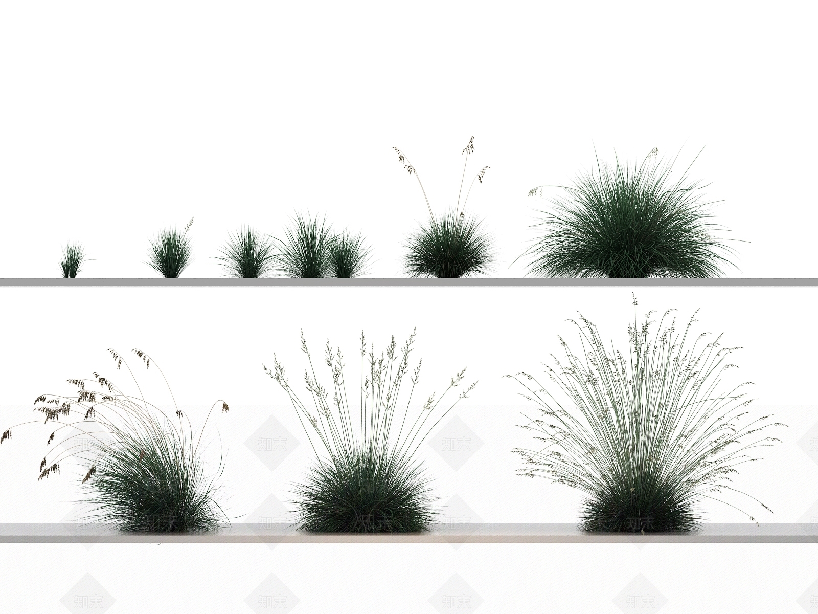 花草组合3D模型下载【ID:1144141366】