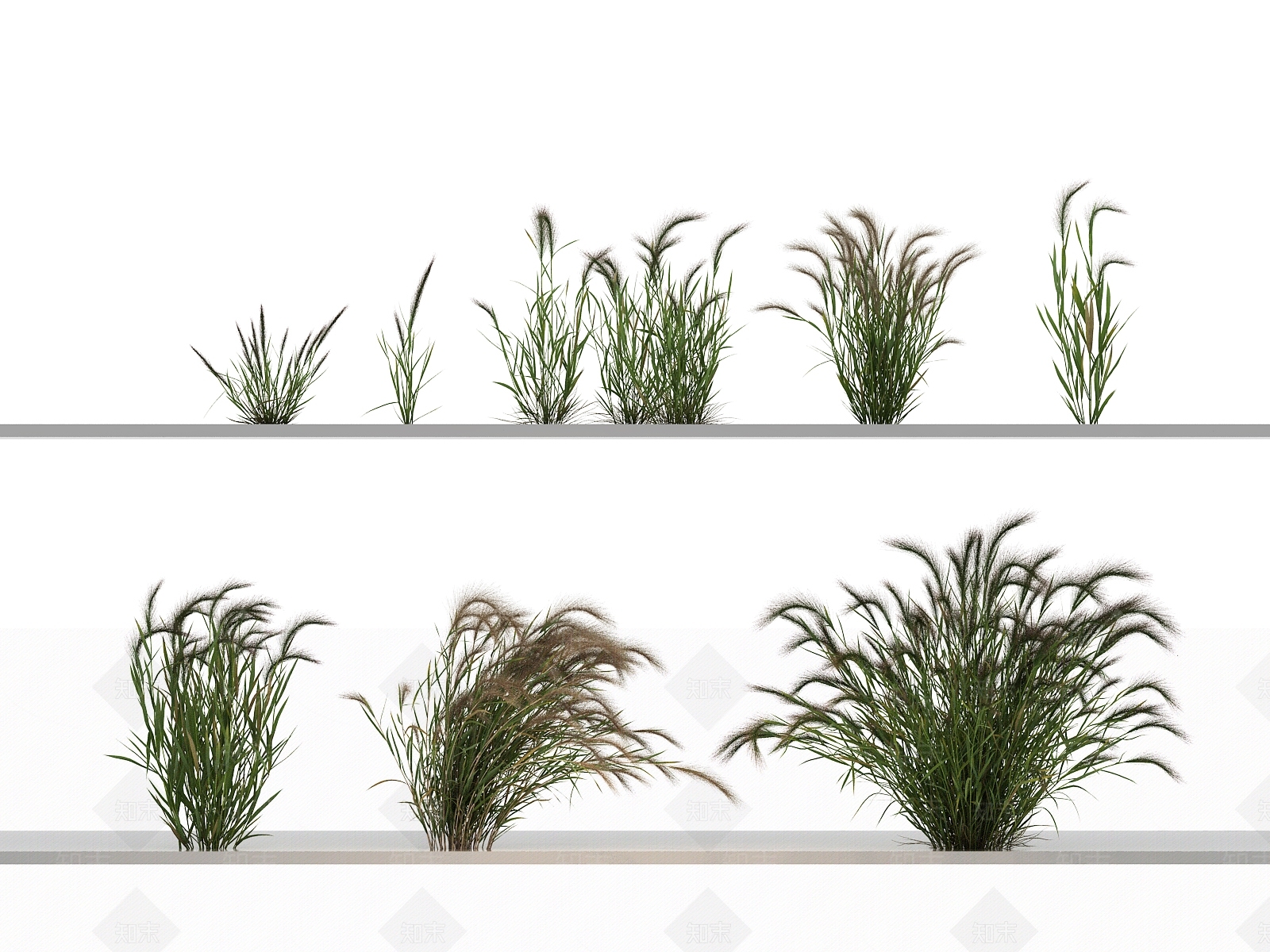 花草组合3D模型下载【ID:1144141377】