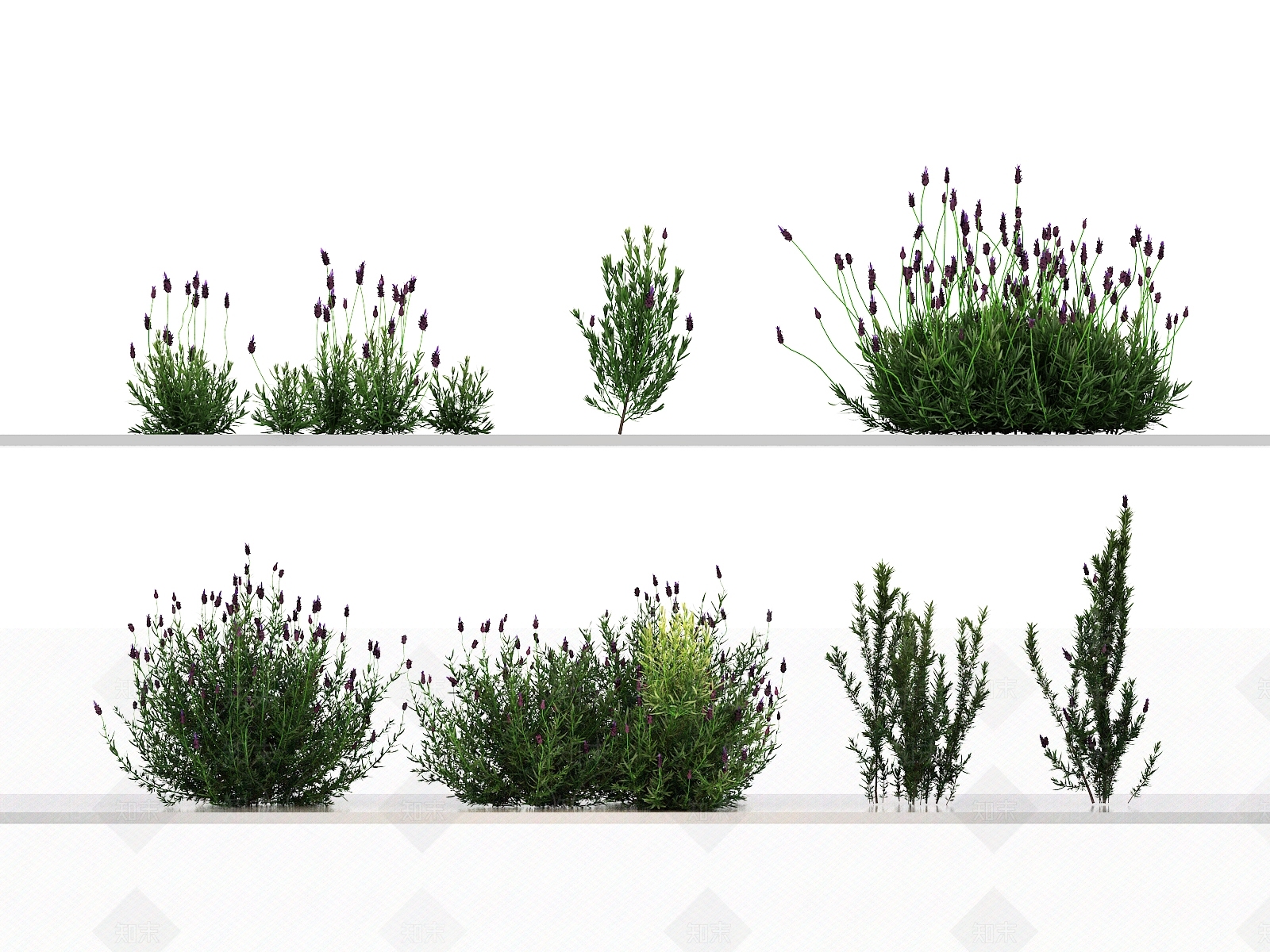 绿植组合3D模型下载【ID:1144141694】
