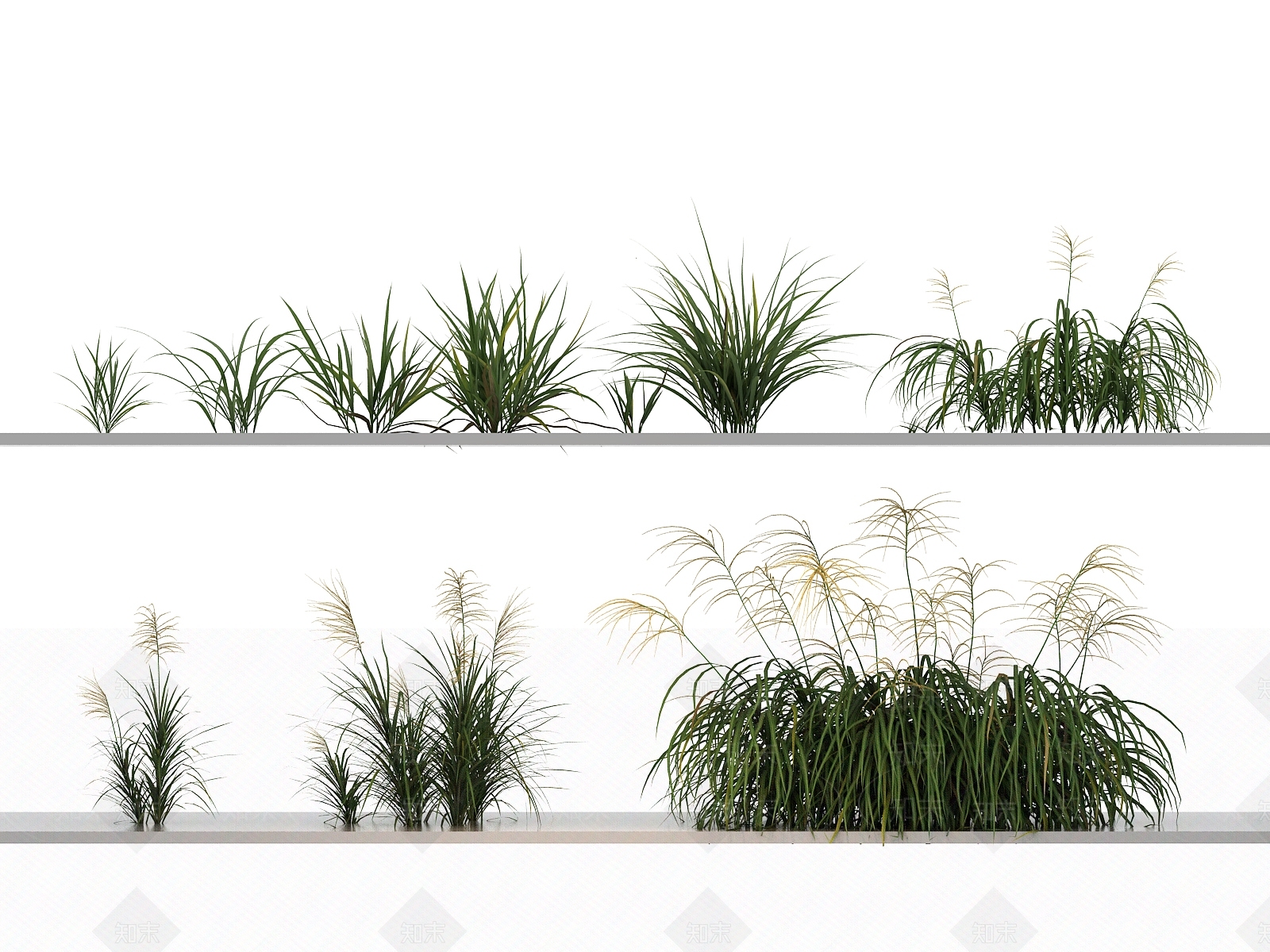 绿植组合3D模型下载【ID:1144141587】