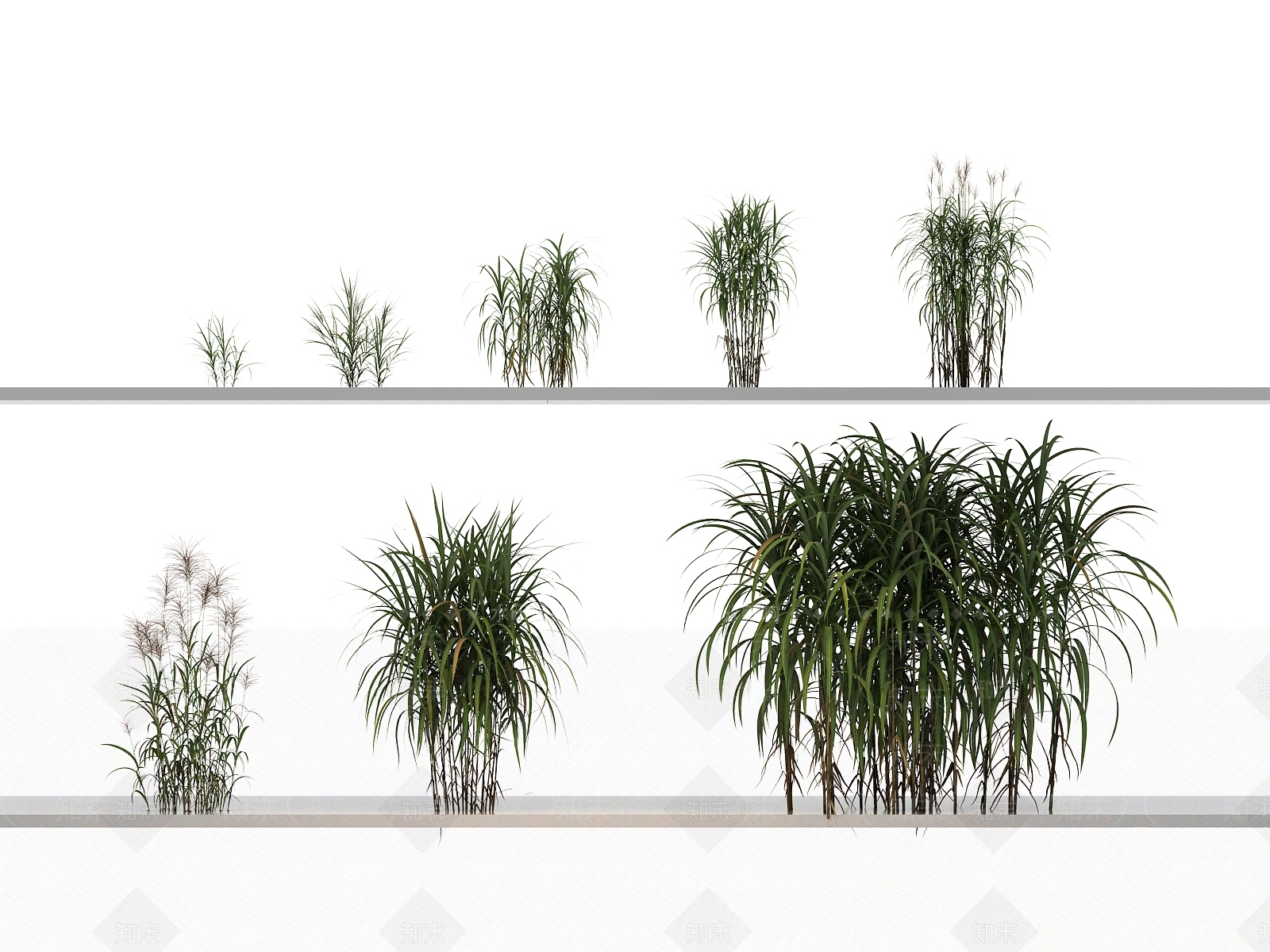 绿植组合3D模型下载【ID:1144141656】