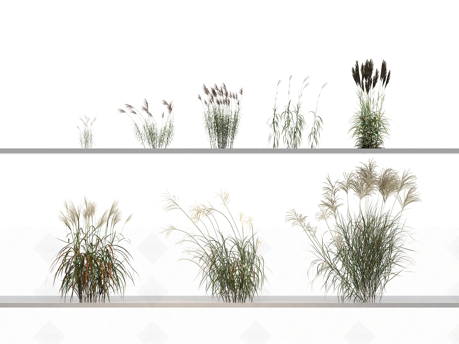 绿植组合3D模型下载【ID:1144141756】