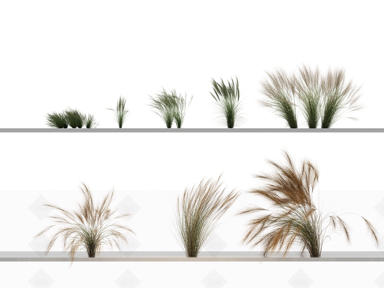 花草组合3D模型下载【ID:1144141831】