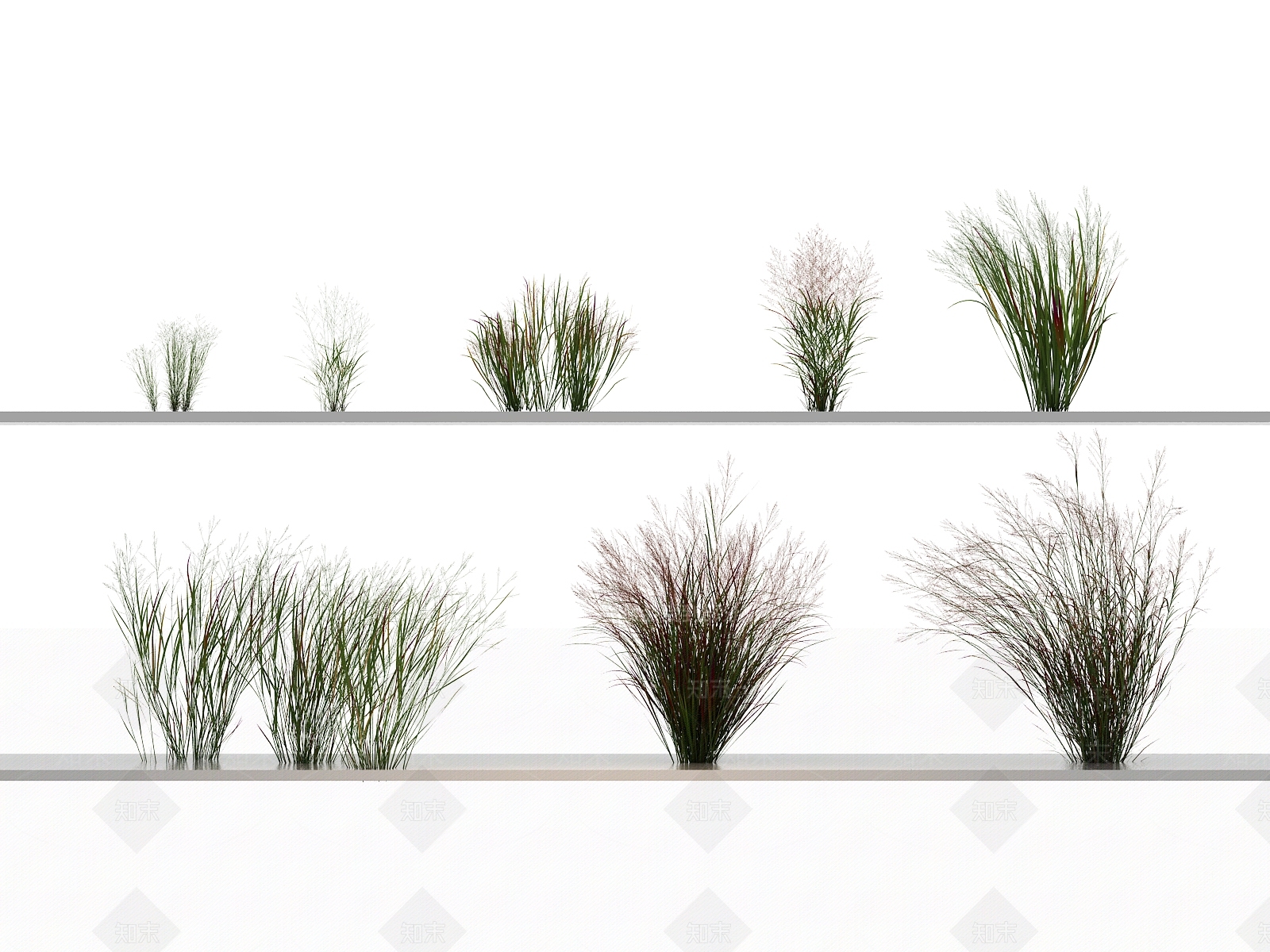 花草组合3D模型下载【ID:1144141852】