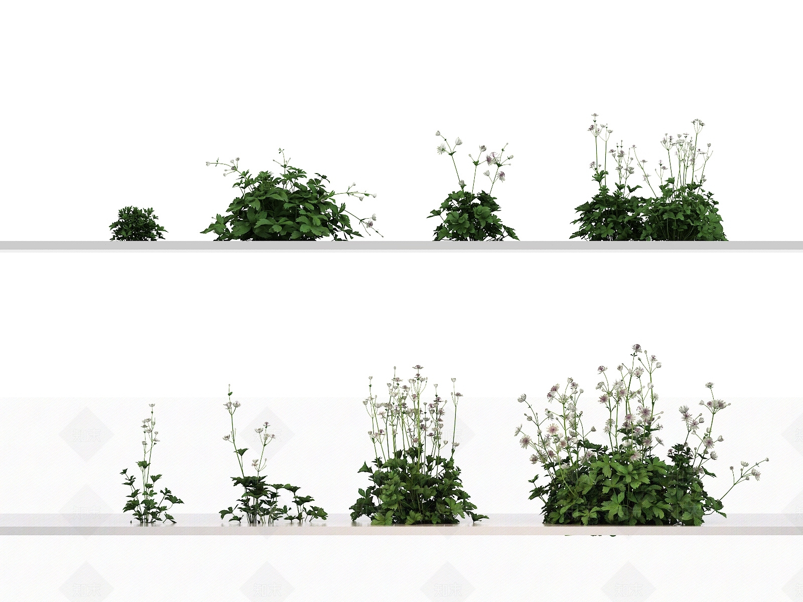 花草组合3D模型下载【ID:1144141988】