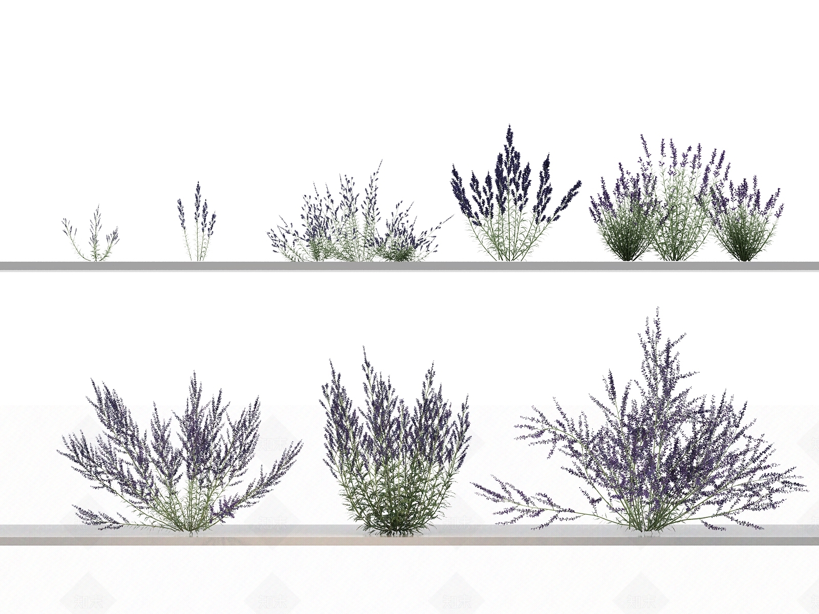 花草组合3D模型下载【ID:1144142066】