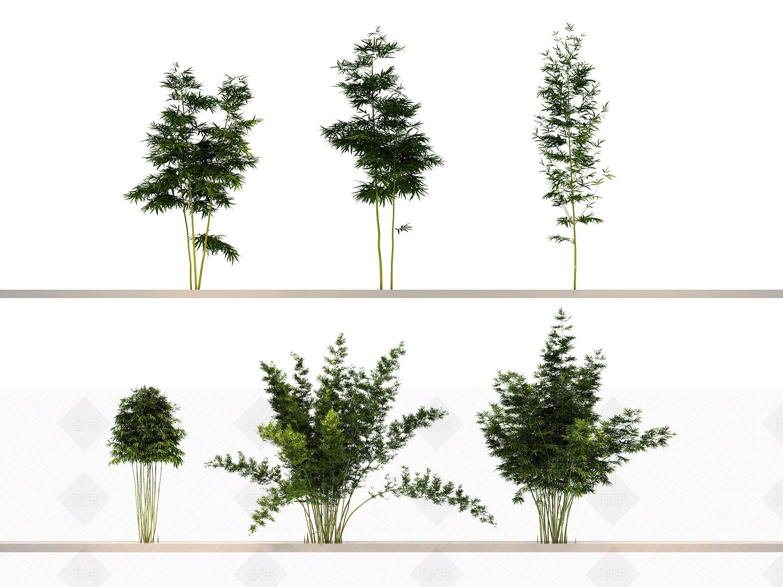 竹子3D模型下载【ID:1144142864】
