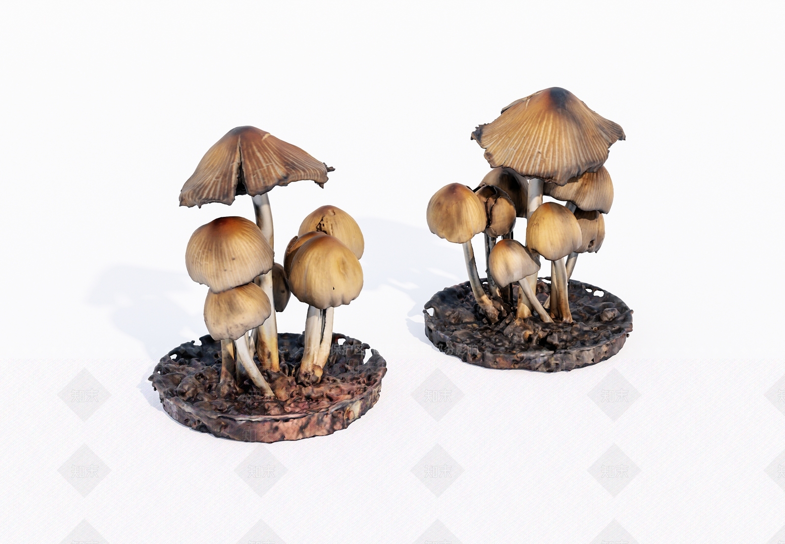 水果蔬菜SU模型草图