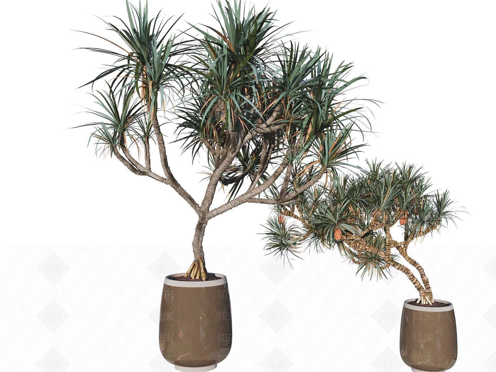 盆栽景观3D模型下载【ID:1144213378】