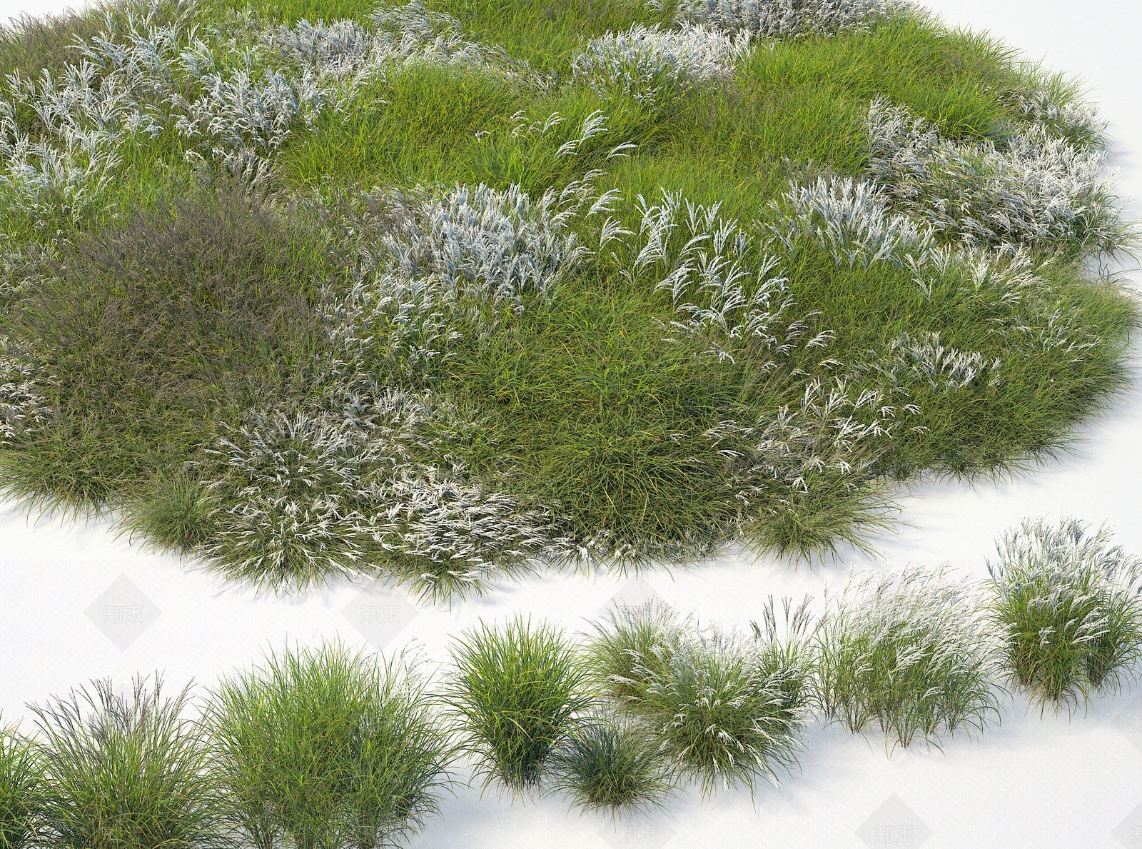 植物3D模型下载【ID:1144238239】