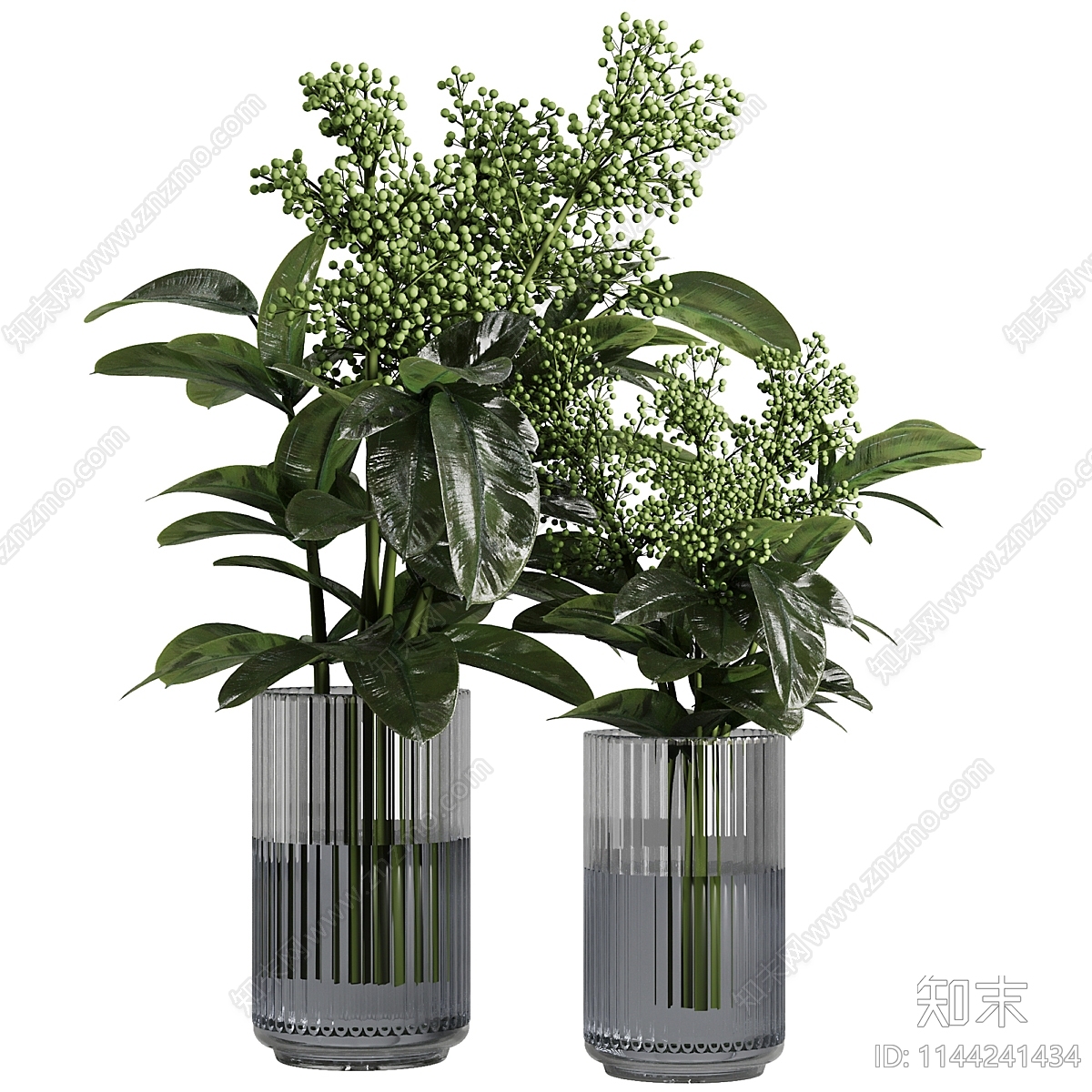 水生植物3D模型下载【ID:1144241434】